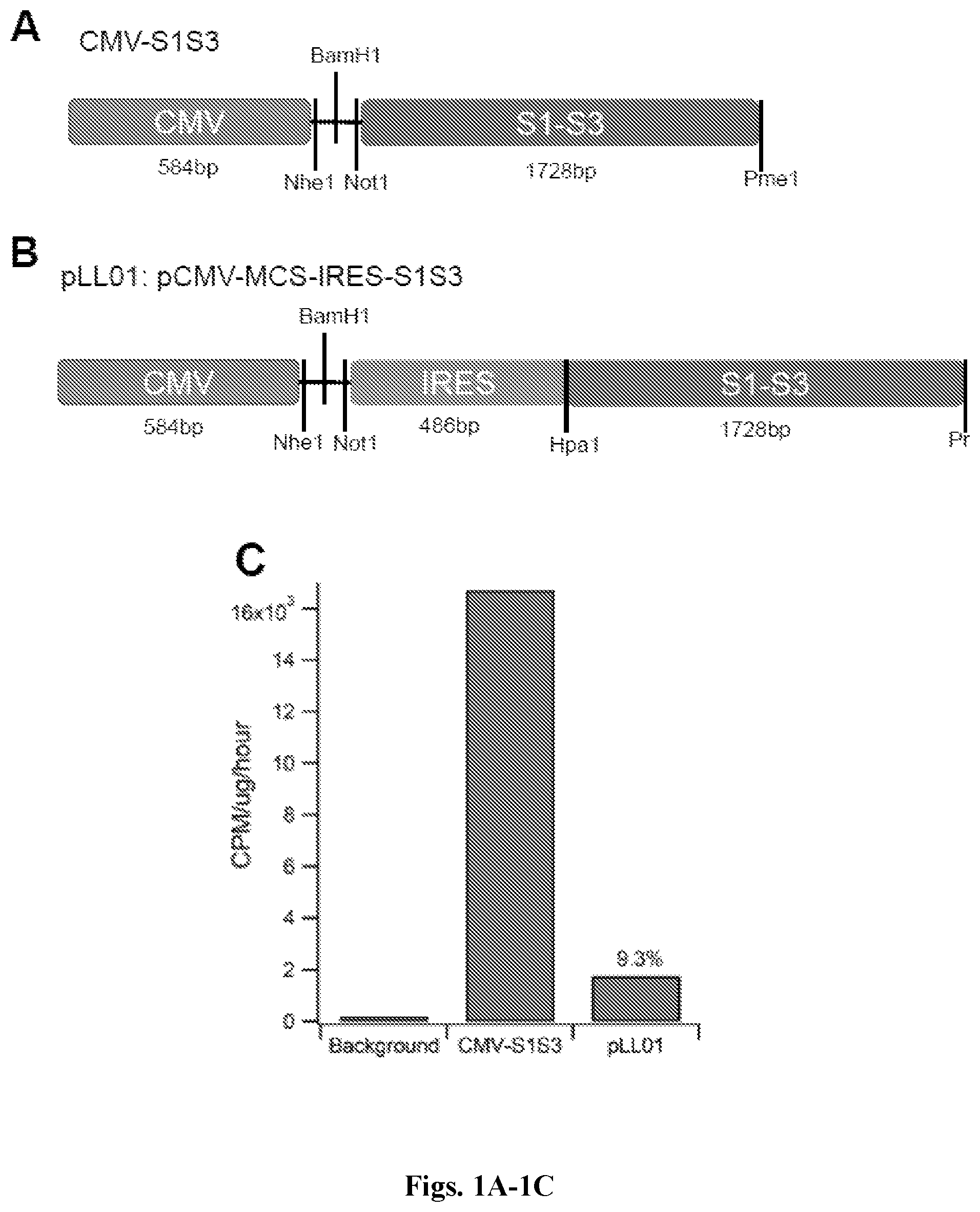 Patent US12492412 Figure 1 – Vector compositions and methods of using same for treatment of lysosomal storage disorders
