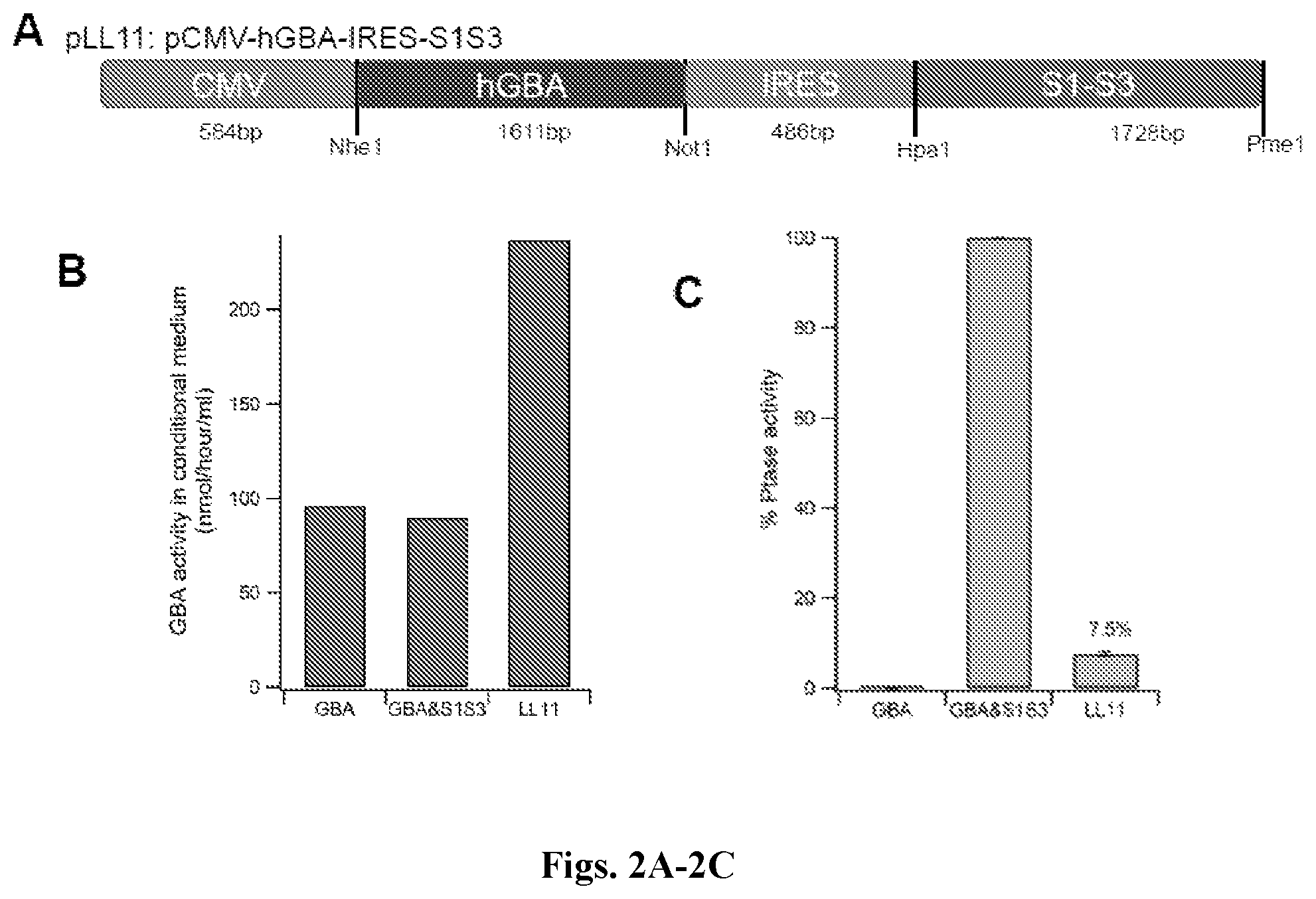 Patent US12492412 Figure 2 – Vector compositions and methods of using same for treatment of lysosomal storage disorders