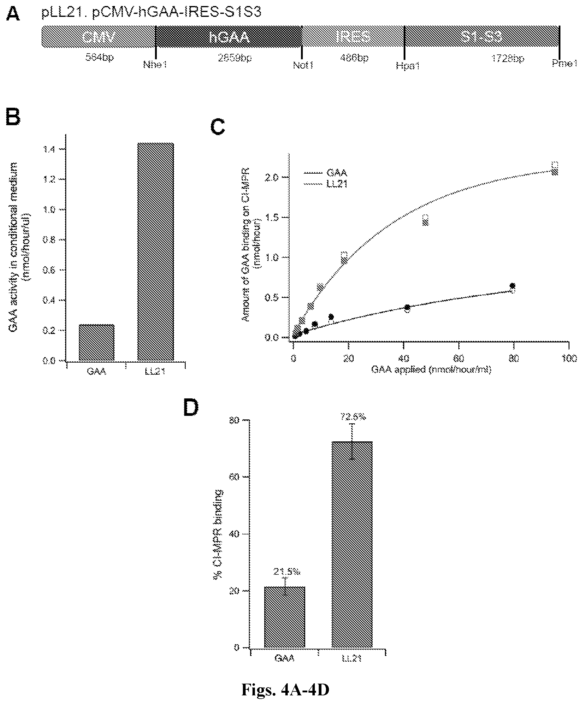 Patent US12492412 Figure 4 – Vector compositions and methods of using same for treatment of lysosomal storage disorders