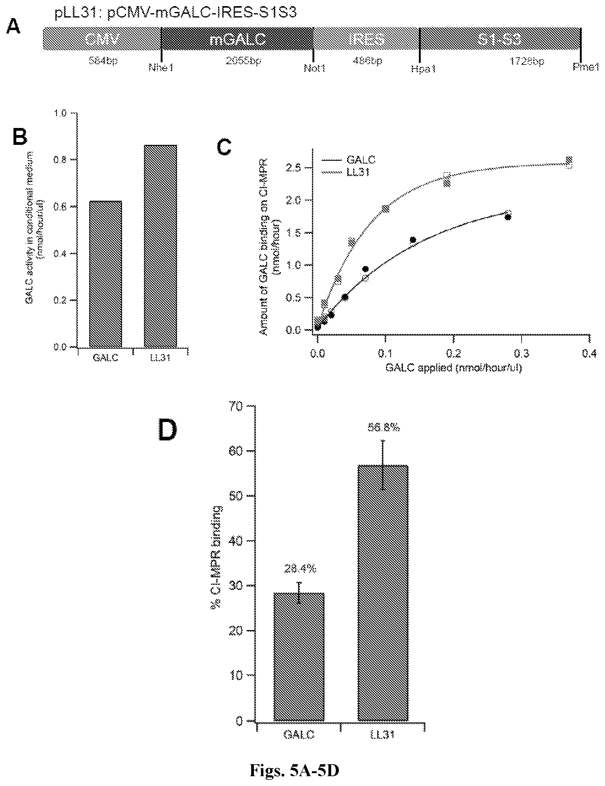 Patent US12492412 Figure 5 – Vector compositions and methods of using same for treatment of lysosomal storage disorders