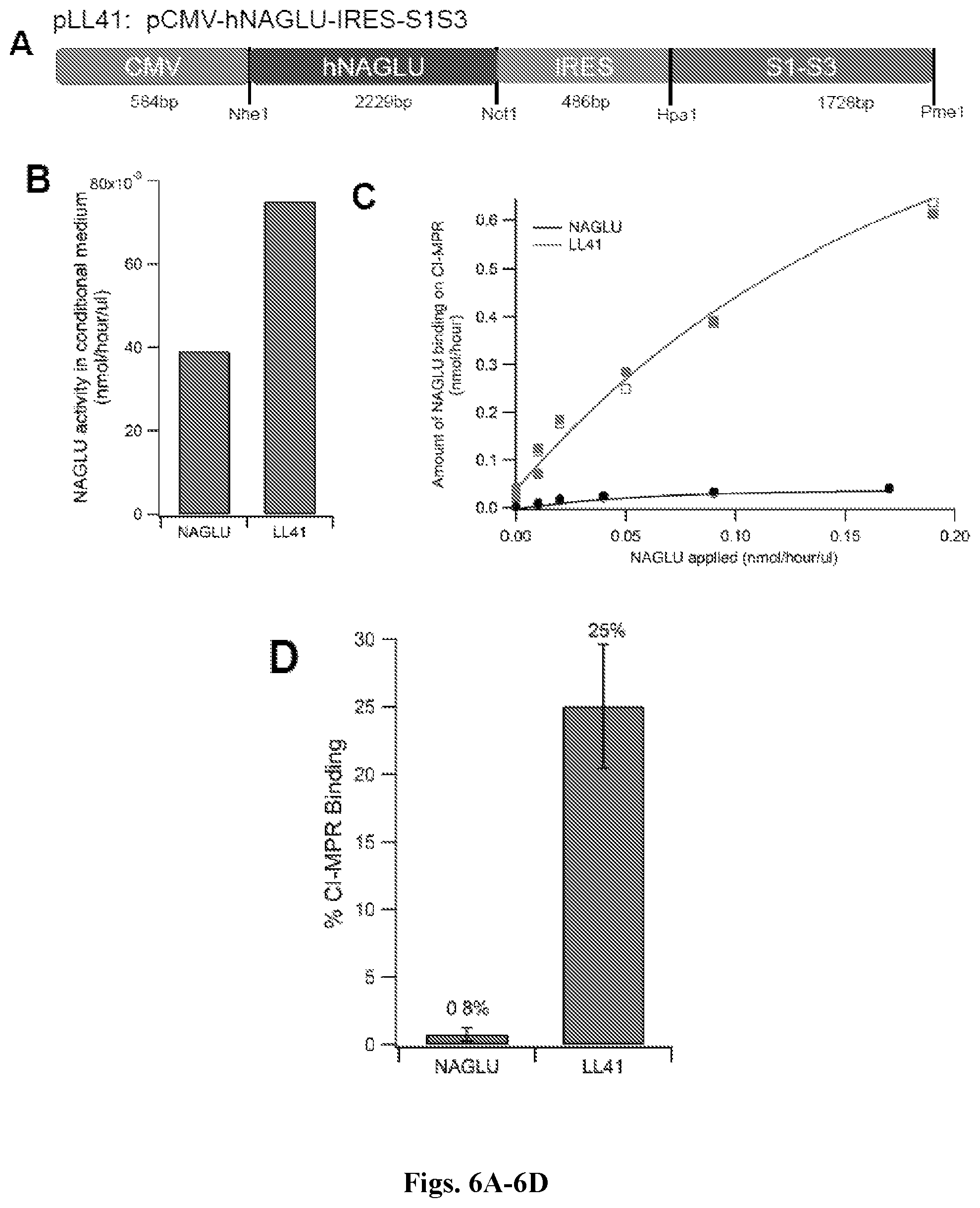 Patent US12492412 Figure 6 – Vector compositions and methods of using same for treatment of lysosomal storage disorders