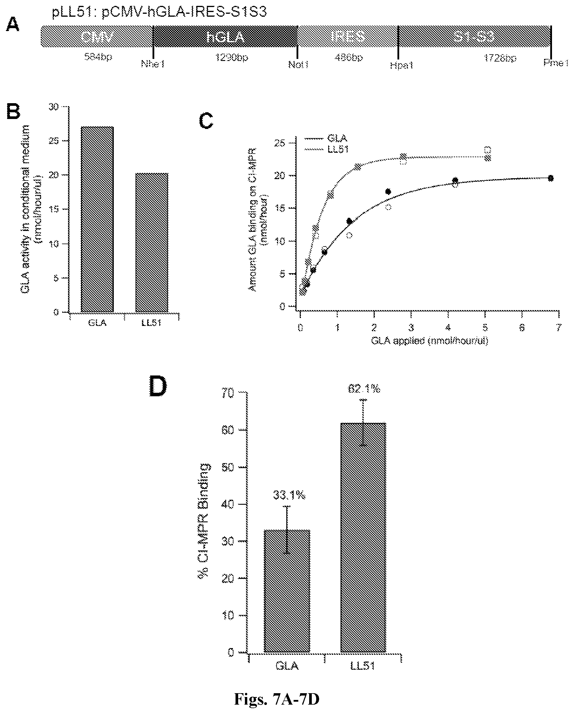 Patent US12492412 Figure 7 – Vector compositions and methods of using same for treatment of lysosomal storage disorders