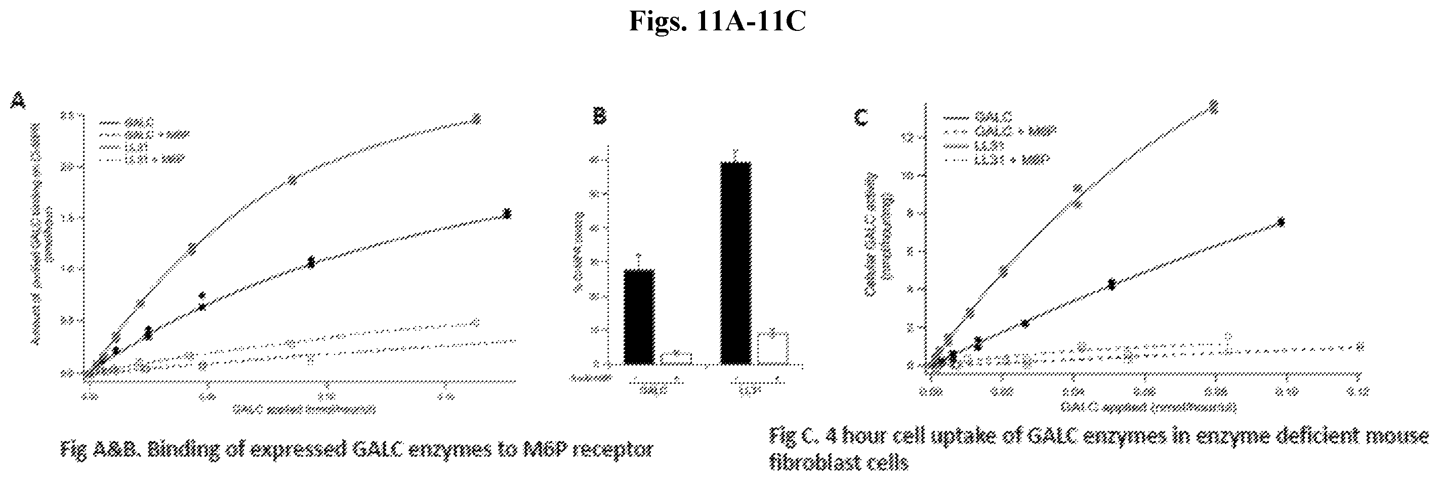 Patent US12492412 Figure 11 – Vector compositions and methods of using same for treatment of lysosomal storage disorders