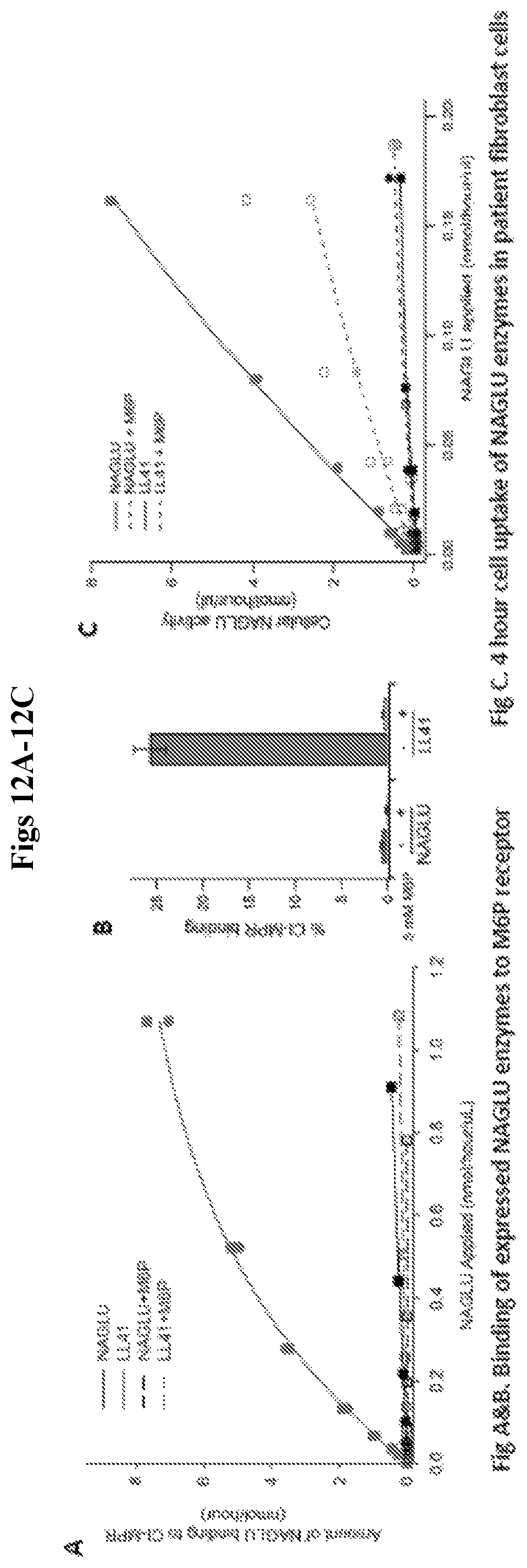 Patent US12492412 Figure 12 – Vector compositions and methods of using same for treatment of lysosomal storage disorders