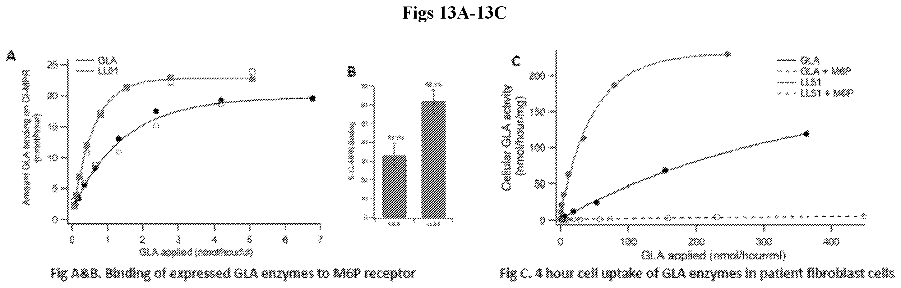 Patent US12492412 Figure 13 – Vector compositions and methods of using same for treatment of lysosomal storage disorders