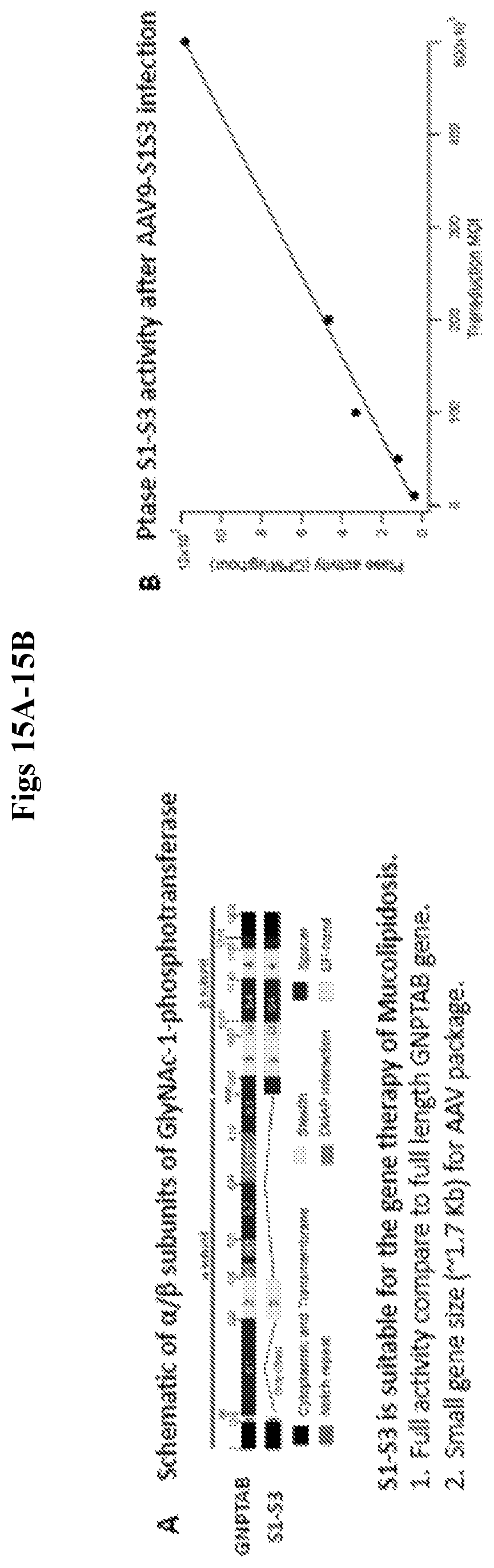 Patent US12492412 Figure 15 – Vector compositions and methods of using same for treatment of lysosomal storage disorders