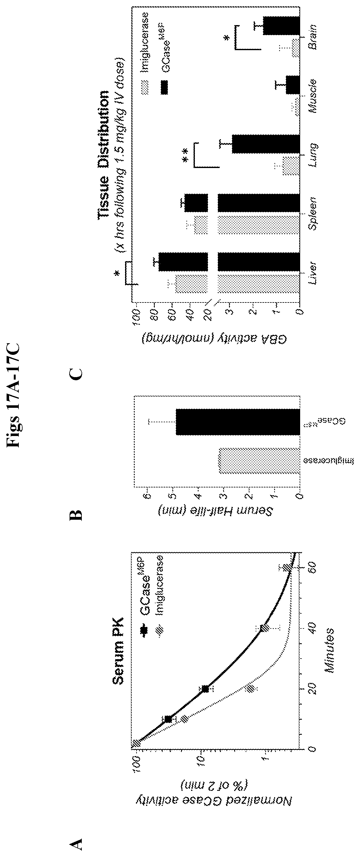 Patent US12492412 Figure 17 – Vector compositions and methods of using same for treatment of lysosomal storage disorders