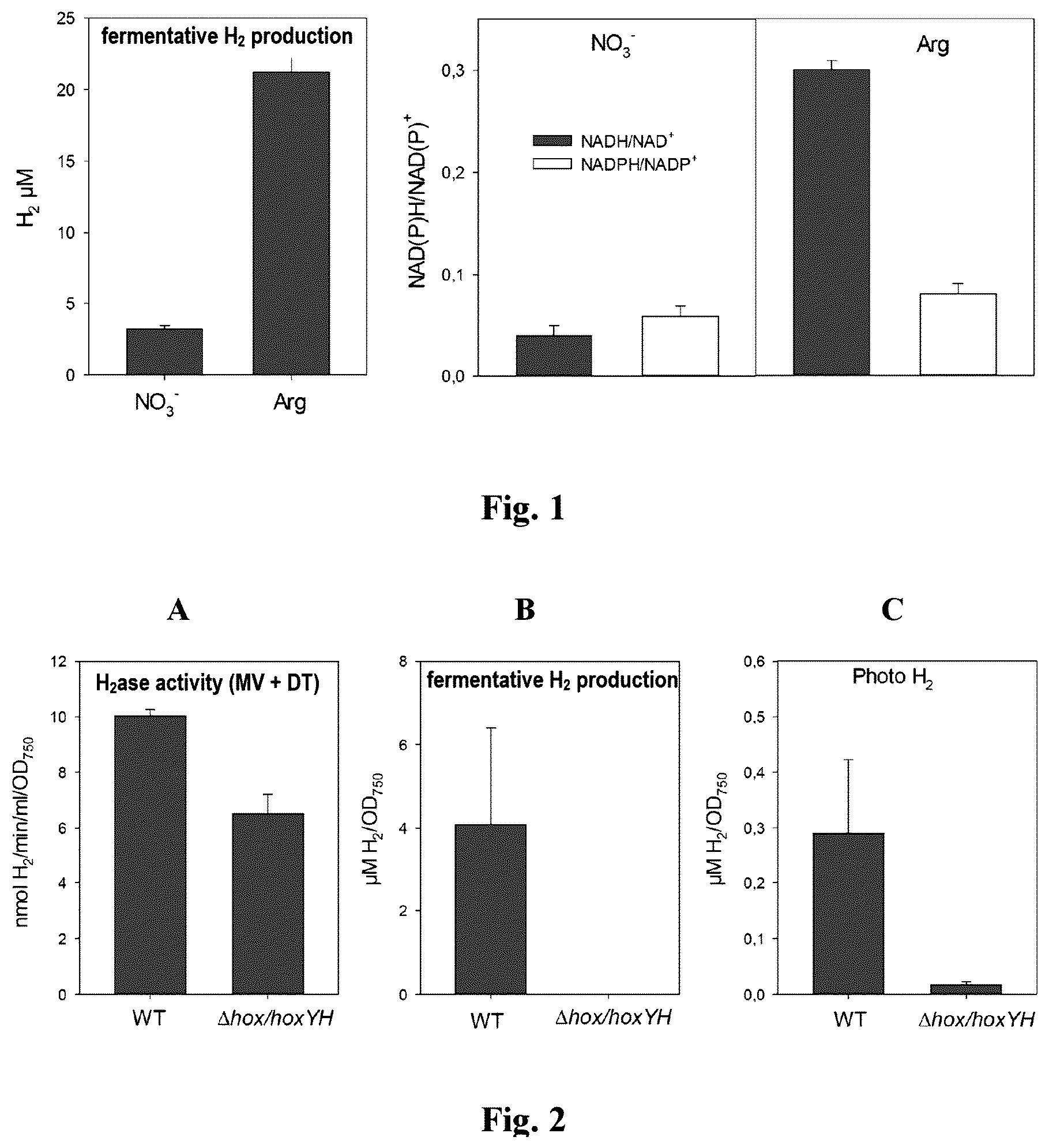 Patent US12492413 Figure 1 – Genetically modified phototrophic cell for in-vivo production of hydrogen