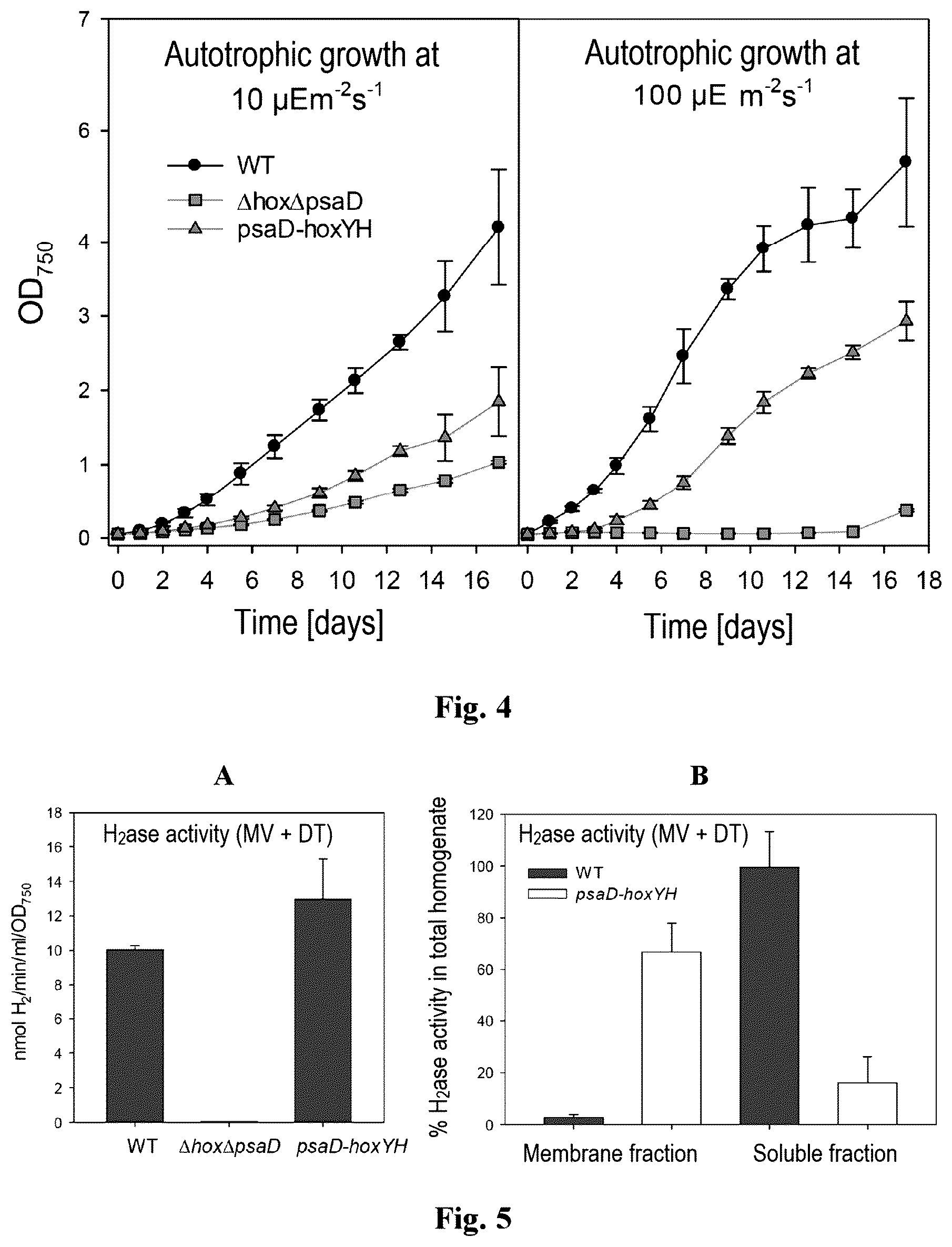 Patent US12492413 Figure 3 – Genetically modified phototrophic cell for in-vivo production of hydrogen