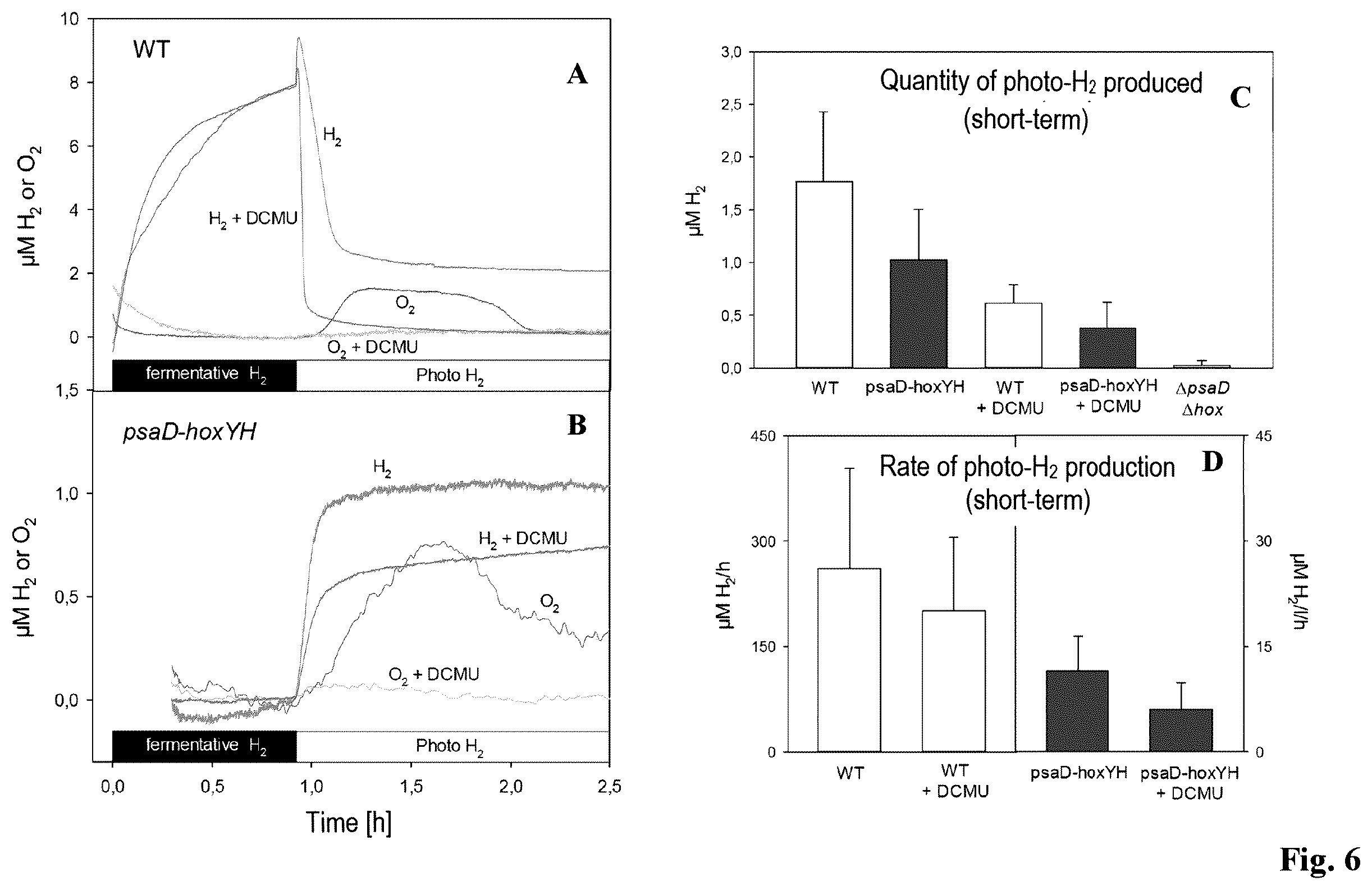 Patent US12492413 Figure 4 – Genetically modified phototrophic cell for in-vivo production of hydrogen