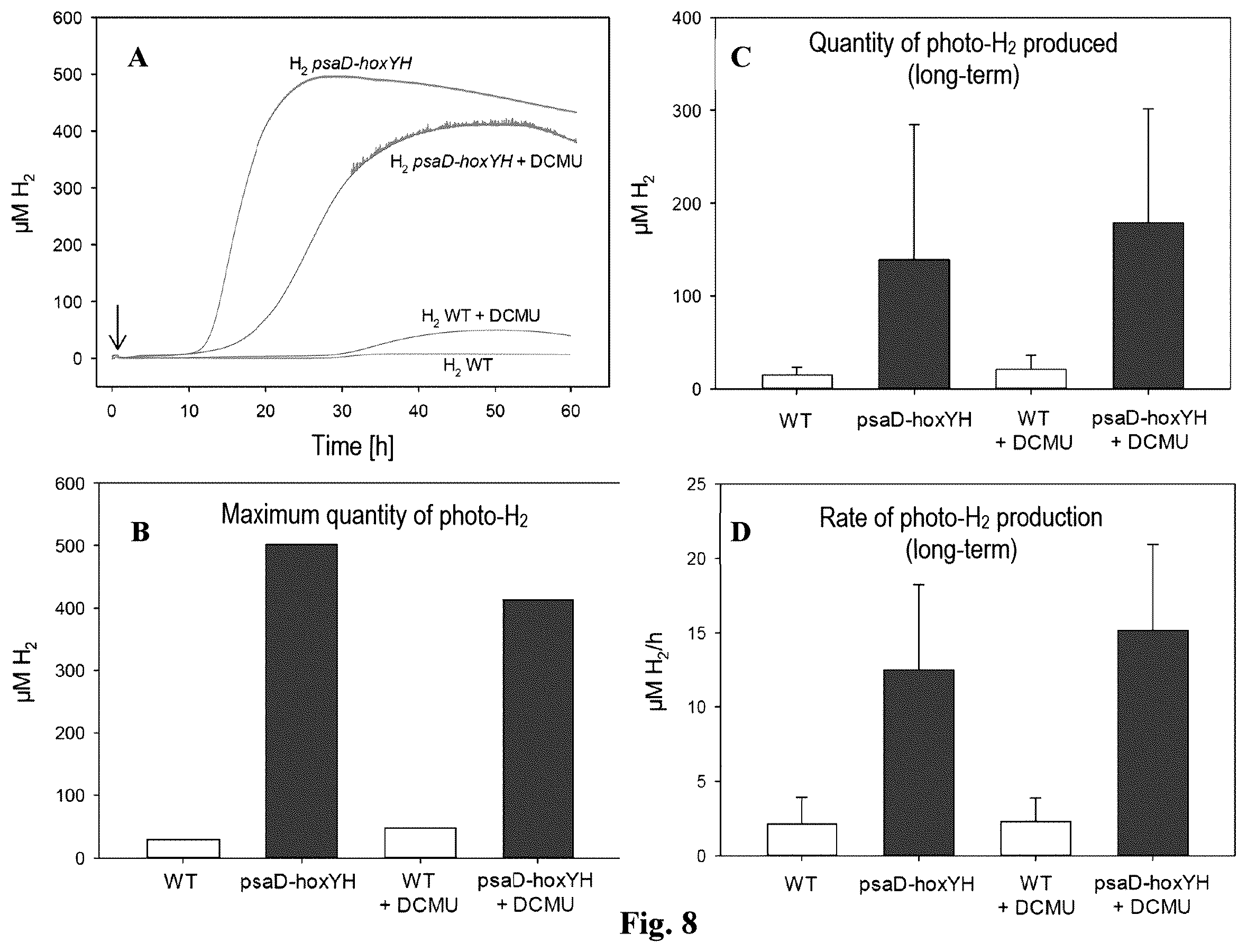 Patent US12492413 Figure 6 – Genetically modified phototrophic cell for in-vivo production of hydrogen