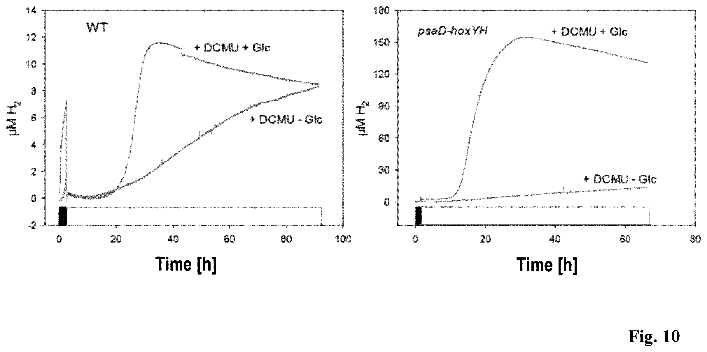 Patent US12492413 Figure 8 – Genetically modified phototrophic cell for in-vivo production of hydrogen