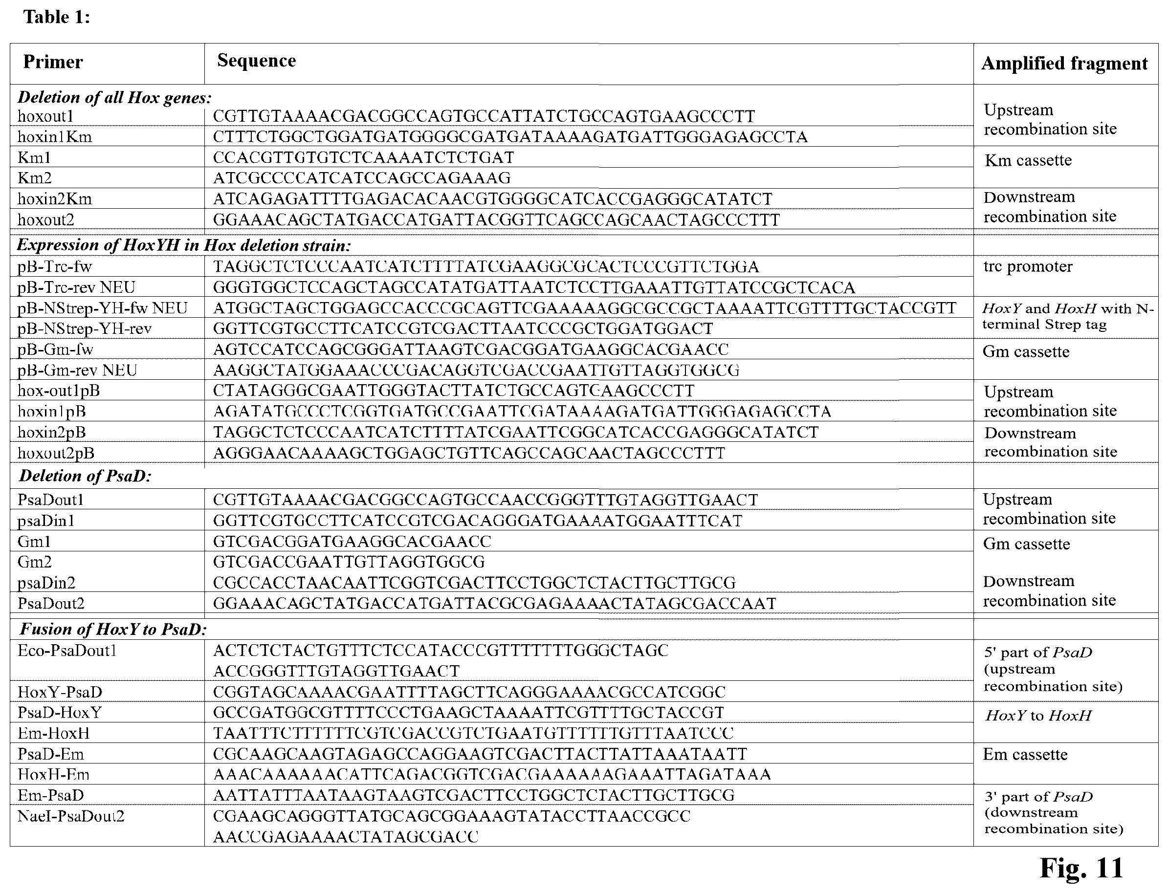 Patent US12492413 Figure 9 – Genetically modified phototrophic cell for in-vivo production of hydrogen