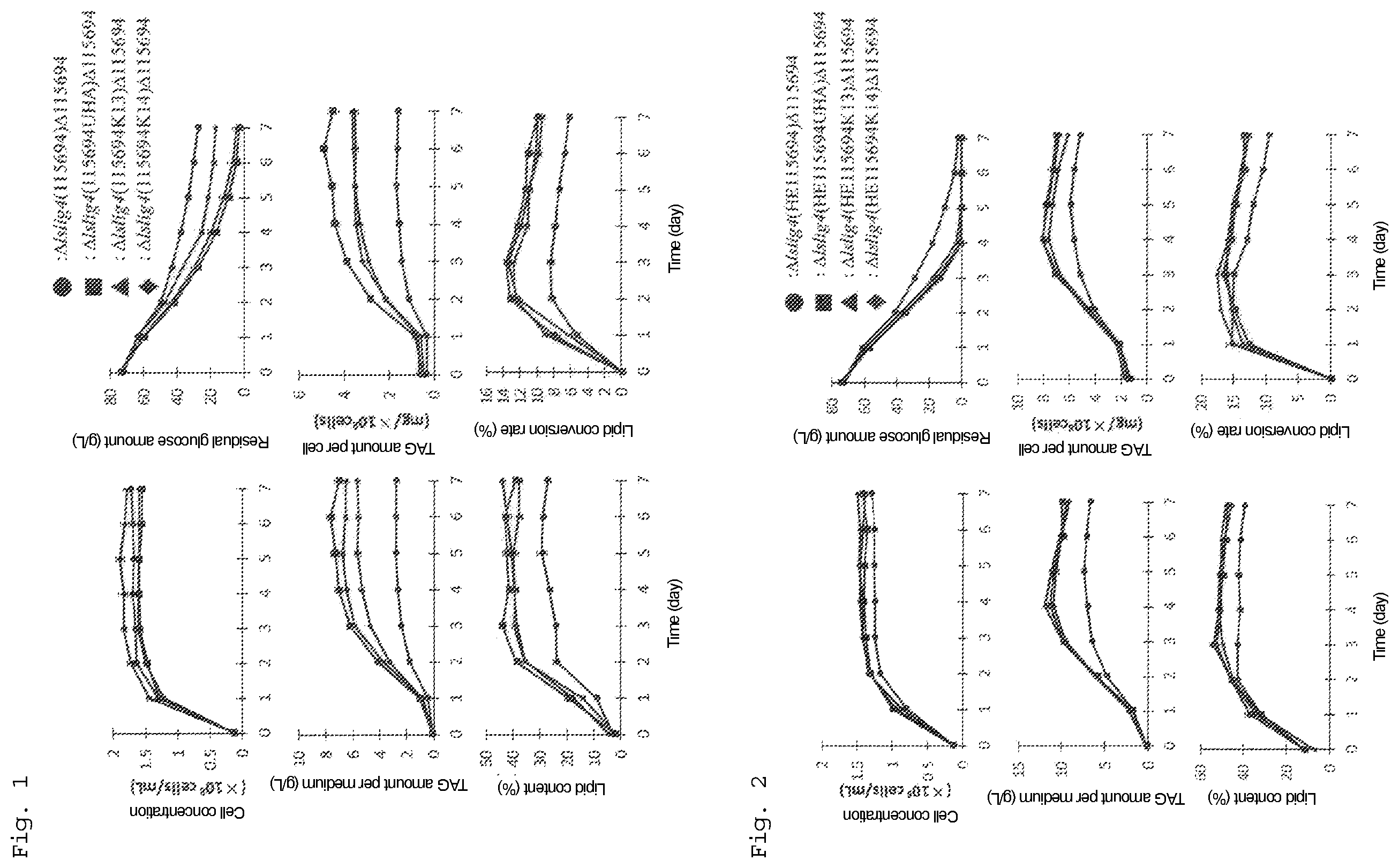 Patent US12492415 — Lipid production control factor for oleaginous yeast — Figure 1