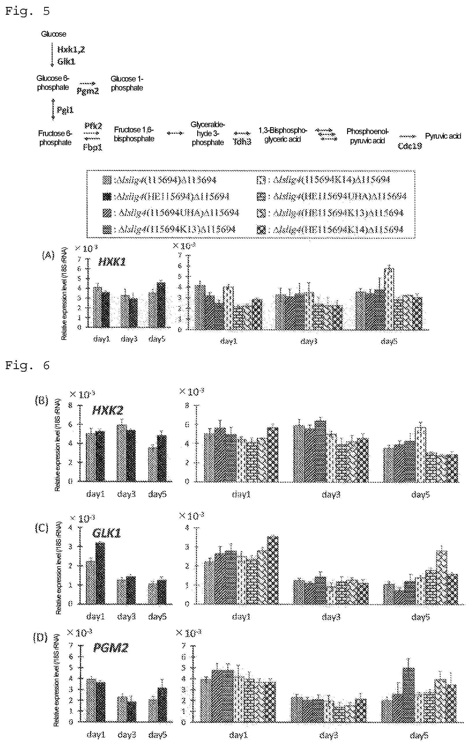 Patent US12492415 Figure 3 – Lipid production control factor for oleaginous yeast