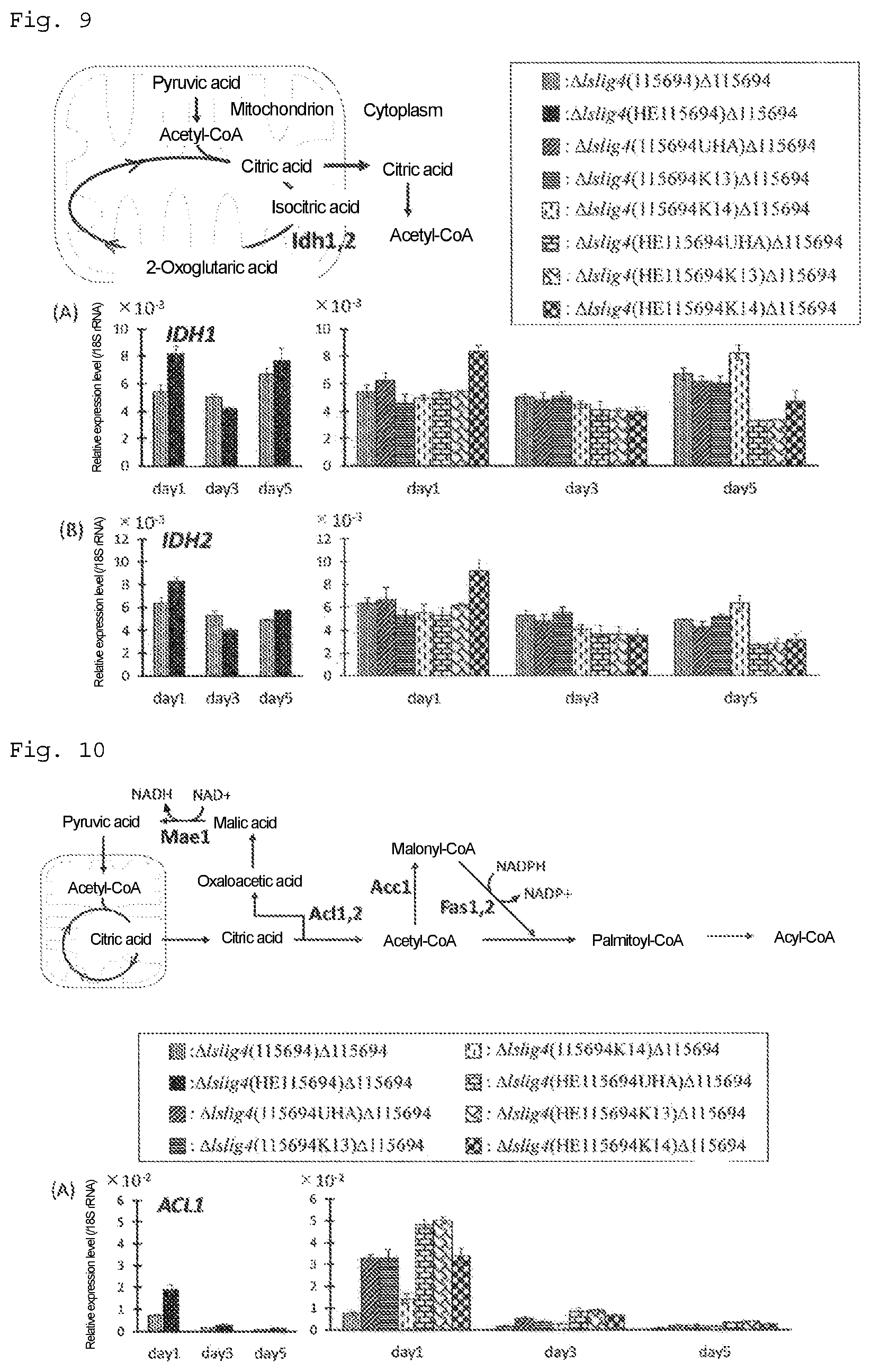 Patent US12492415 Figure 5 – Lipid production control factor for oleaginous yeast