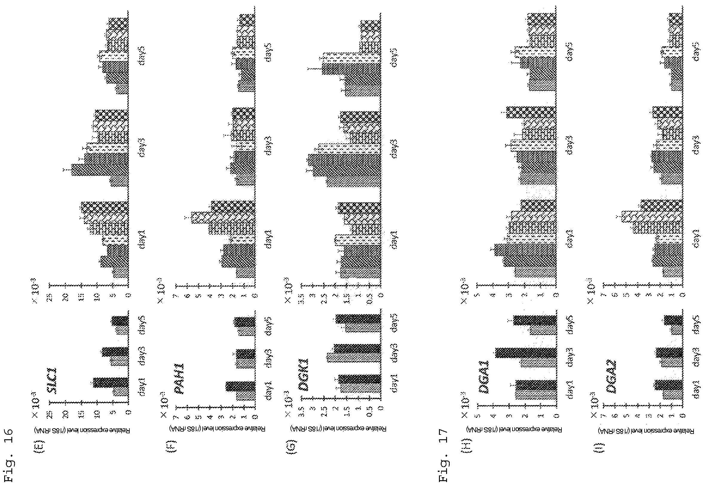 Patent US12492415 Figure 9 – Lipid production control factor for oleaginous yeast