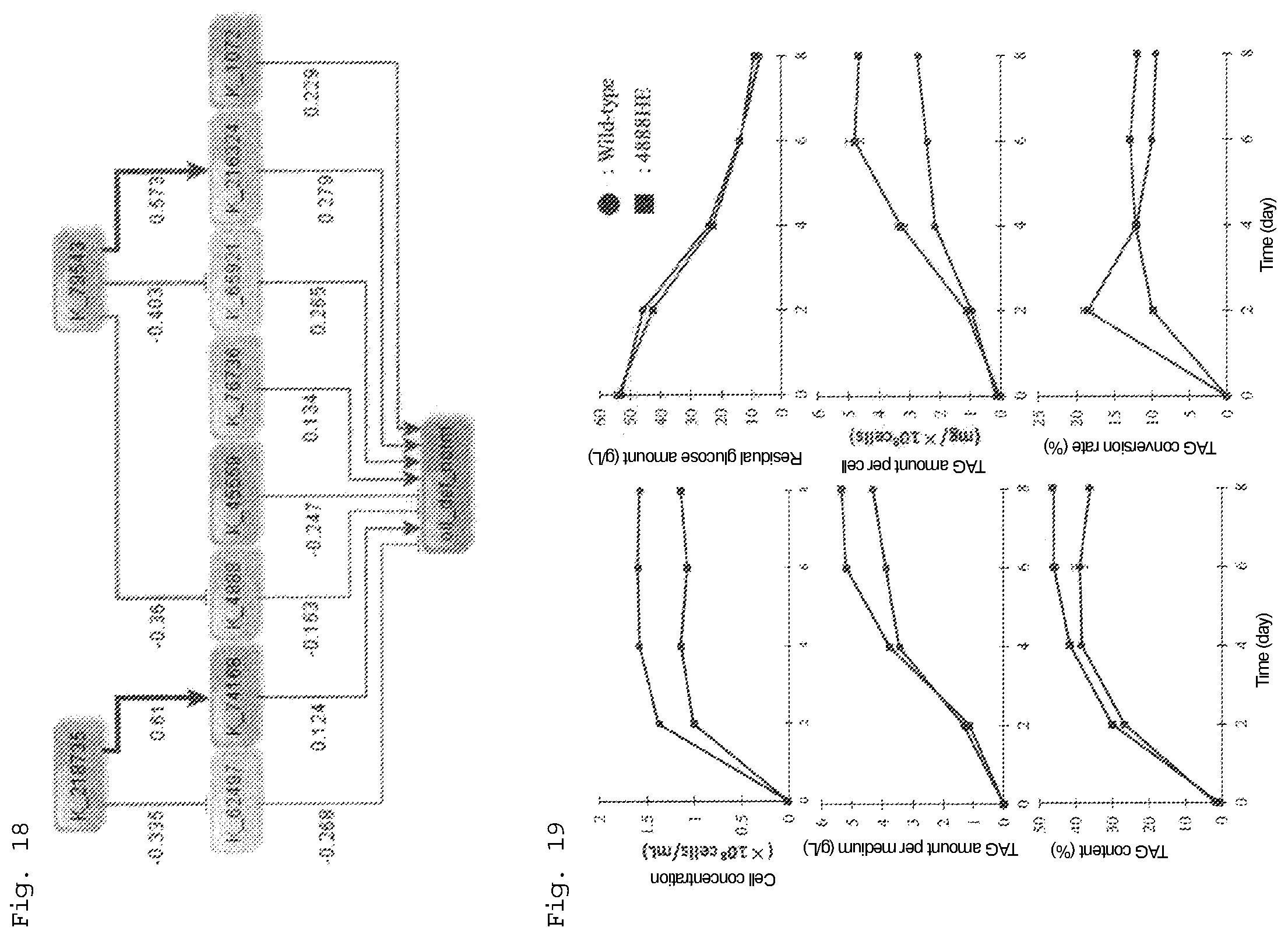 Patent US12492415 Figure 10 – Lipid production control factor for oleaginous yeast
