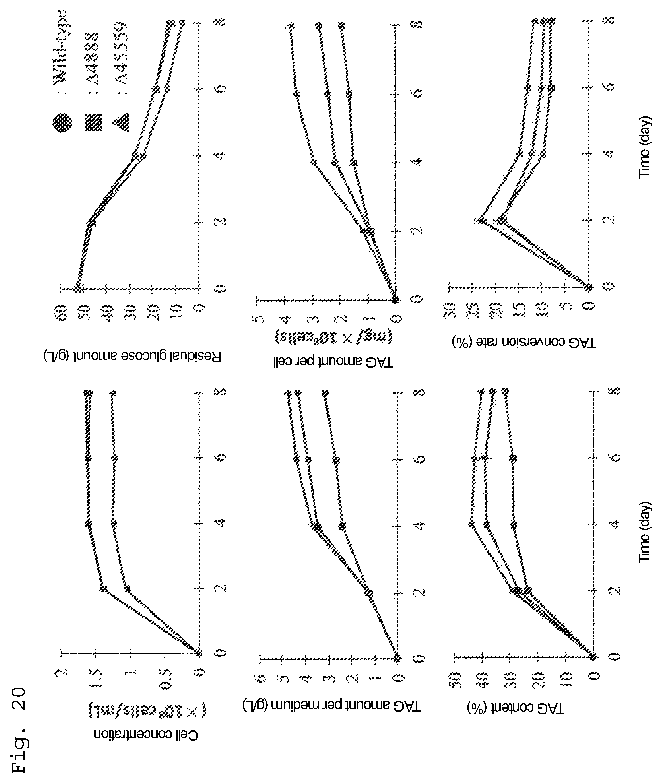 Patent US12492415 Figure 11 – Lipid production control factor for oleaginous yeast