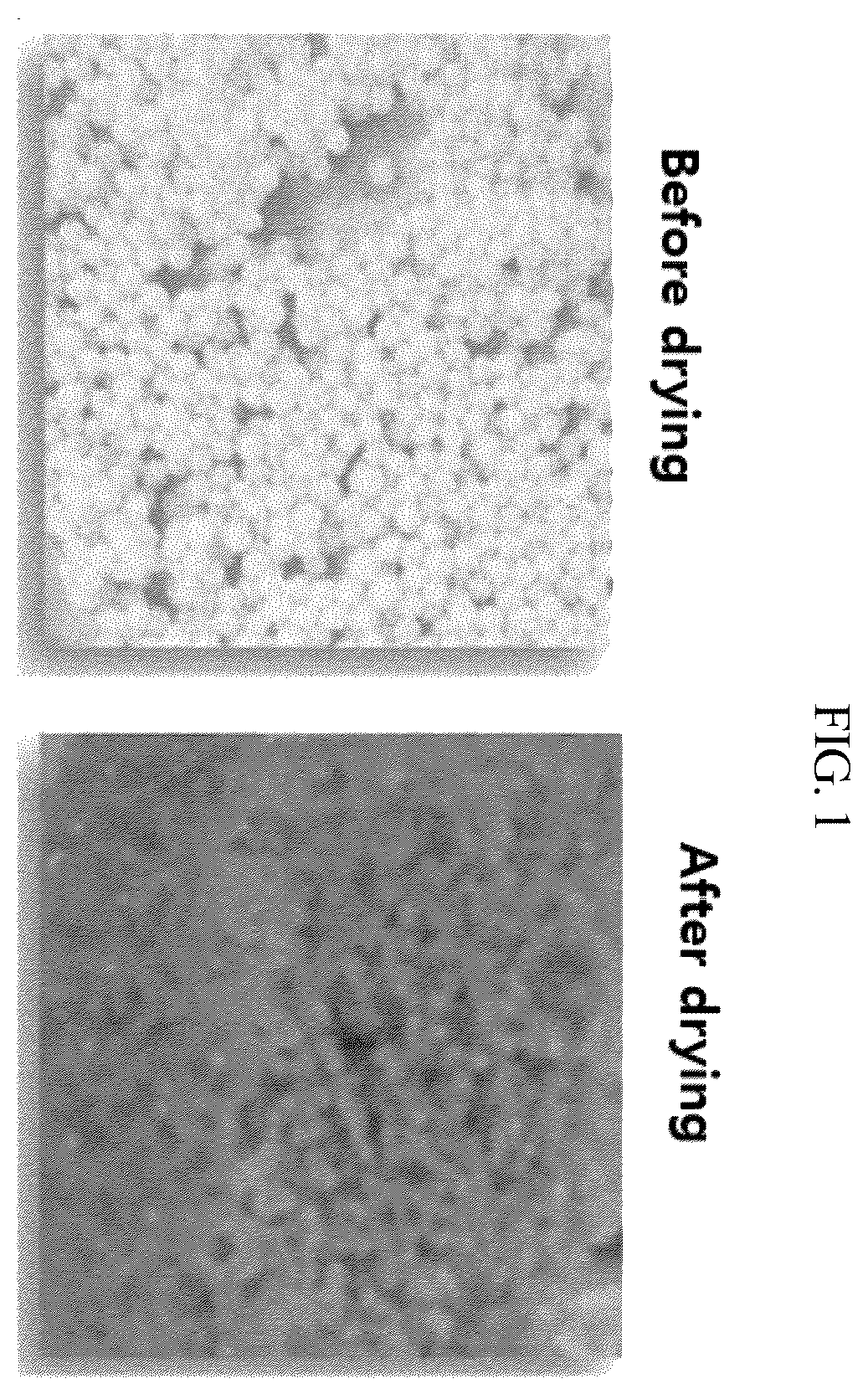 Patent US12492419 Figure 1 – Cell immobilized beads having excellent conversion activity and method for preparing same