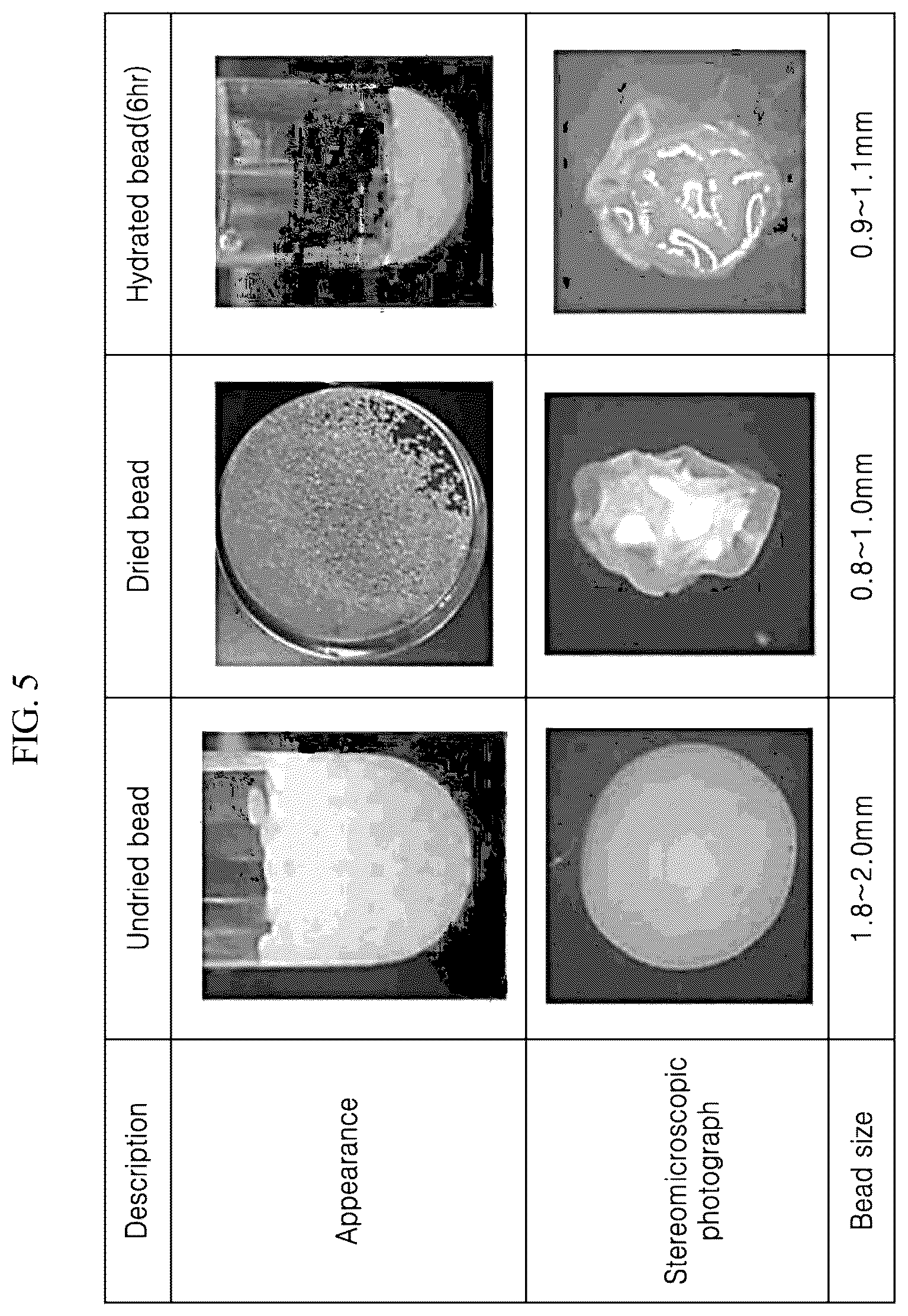 Patent US12492419 Figure 5 – Cell immobilized beads having excellent conversion activity and method for preparing same