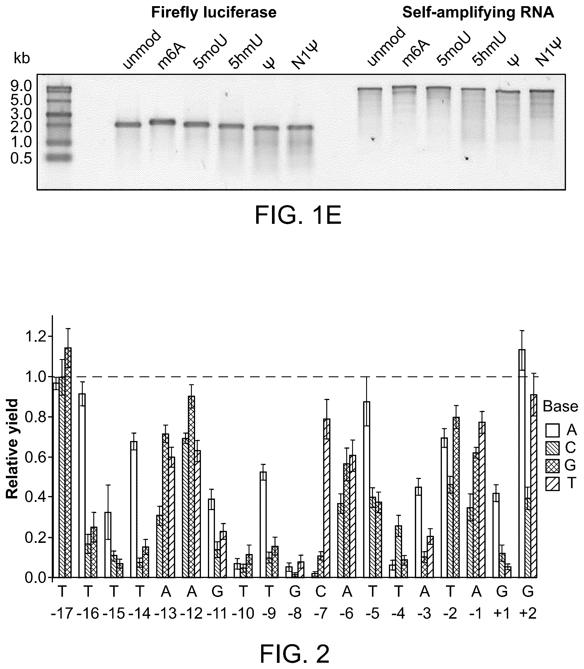 Patent US12492420 Figure 5 – Compositions, kits, and methods for in vitro transcription