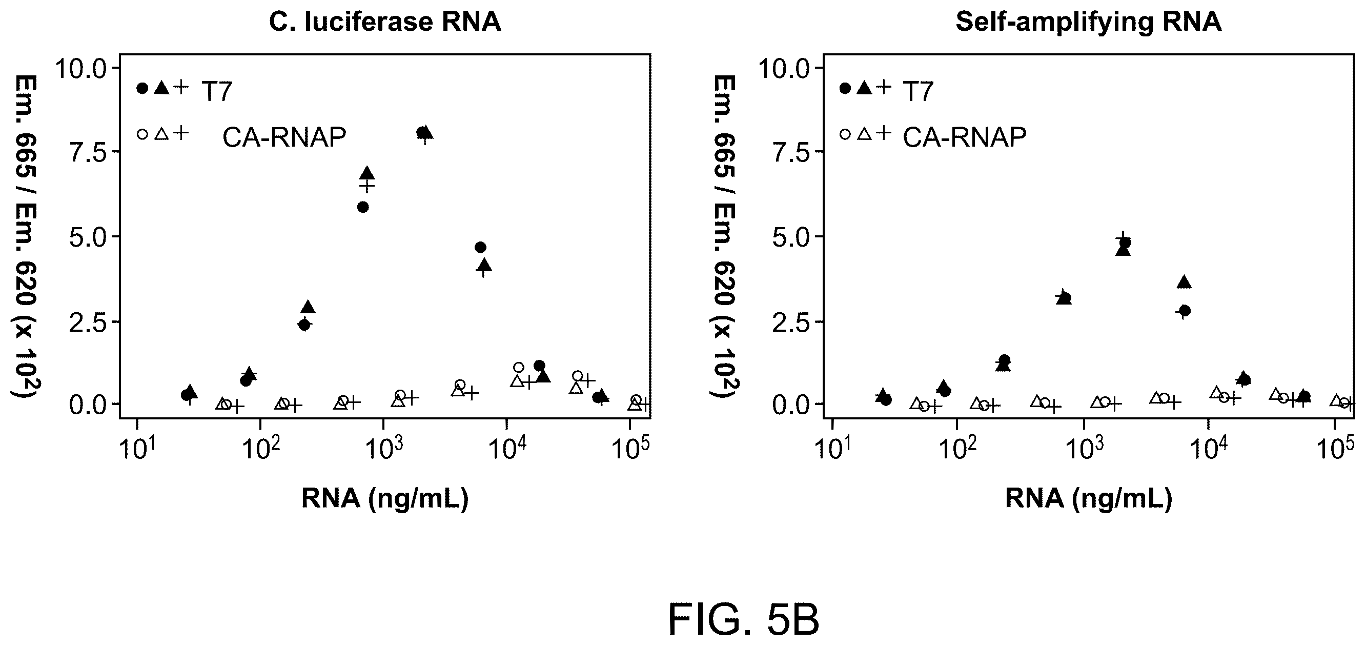 Patent US12492420 Figure 10 – Compositions, kits, and methods for in vitro transcription