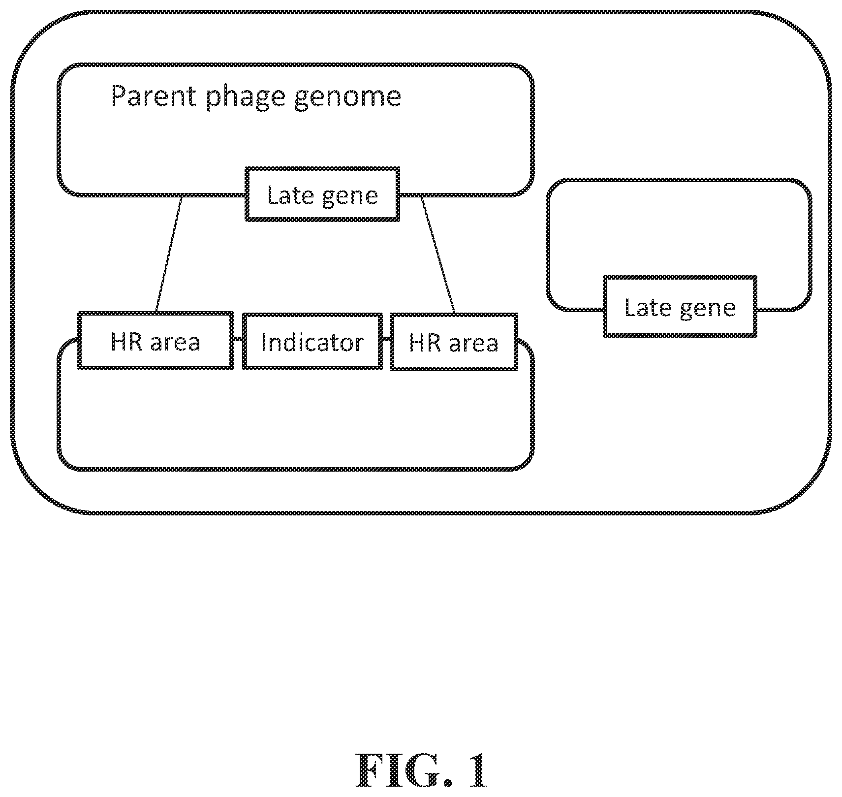 Patent US12492421 Figure 1 – Devices and methods for detecting microorganisms using recombinant reproduction-deficient indicator bacteriophage