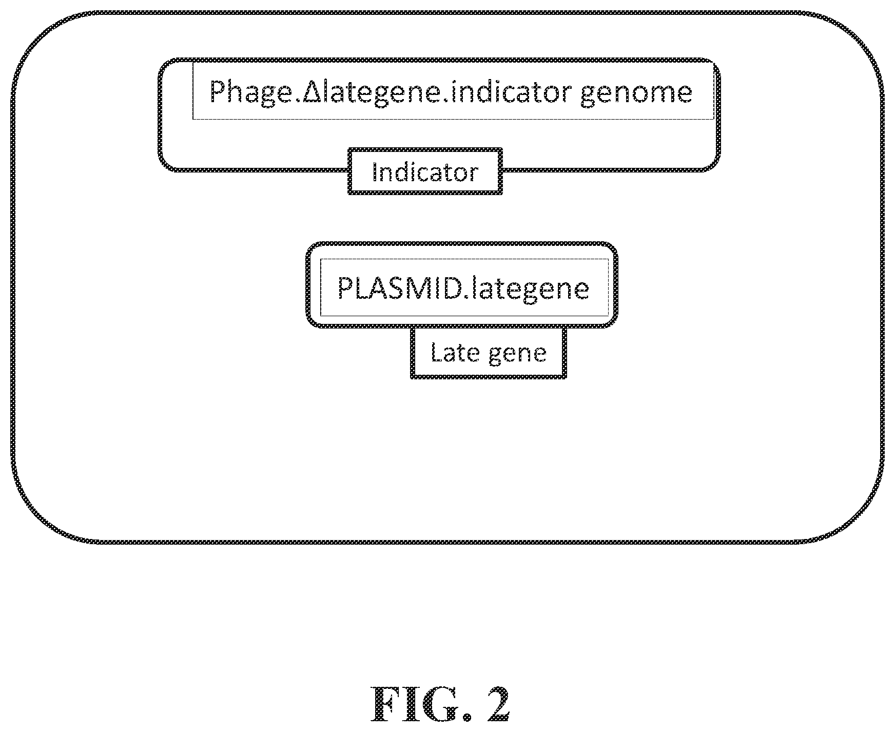 Patent US12492421 Figure 2 – Devices and methods for detecting microorganisms using recombinant reproduction-deficient indicator bacteriophage