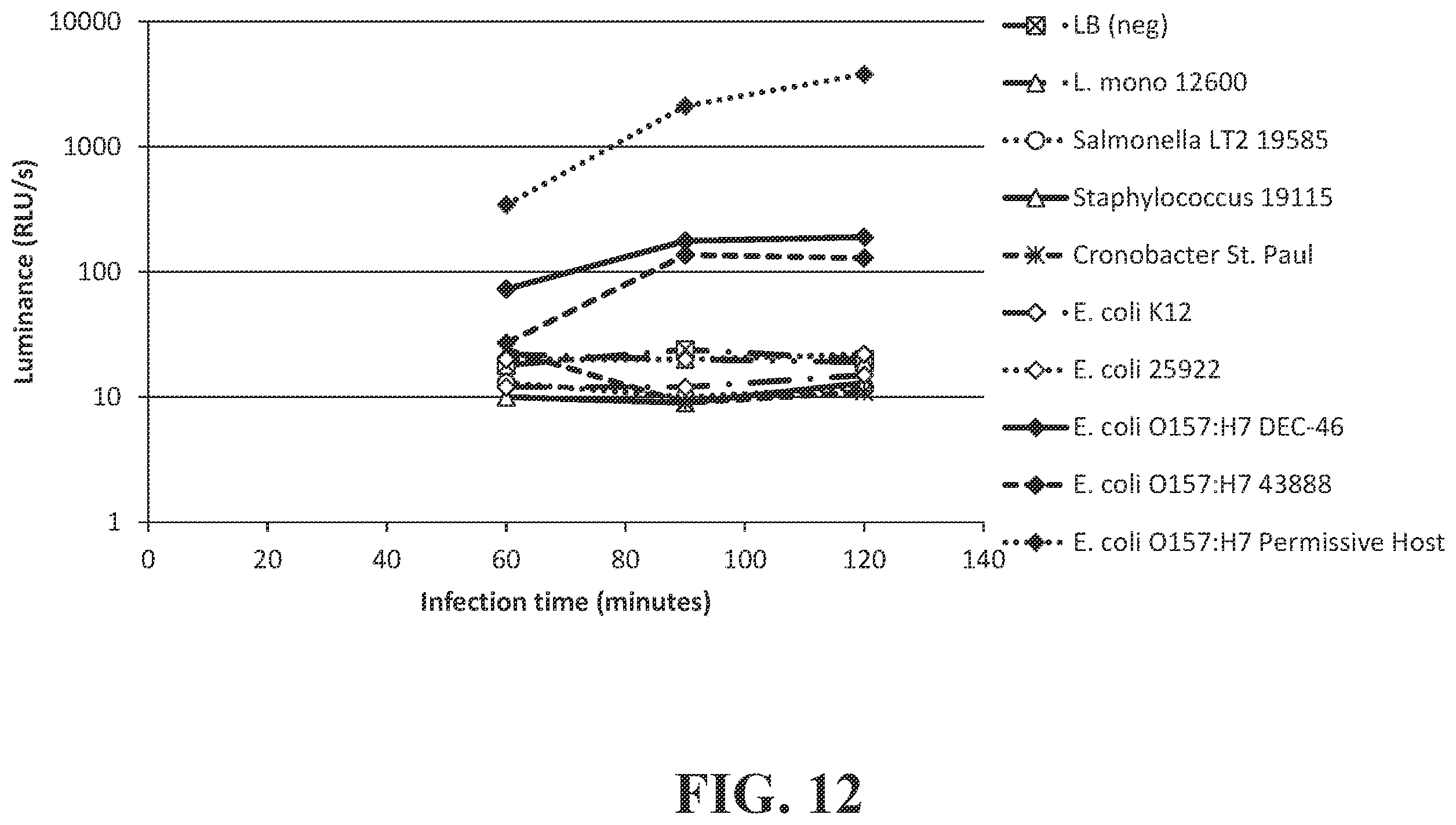 Patent US12492421 Figure 12 – Devices and methods for detecting microorganisms using recombinant reproduction-deficient indicator bacteriophage