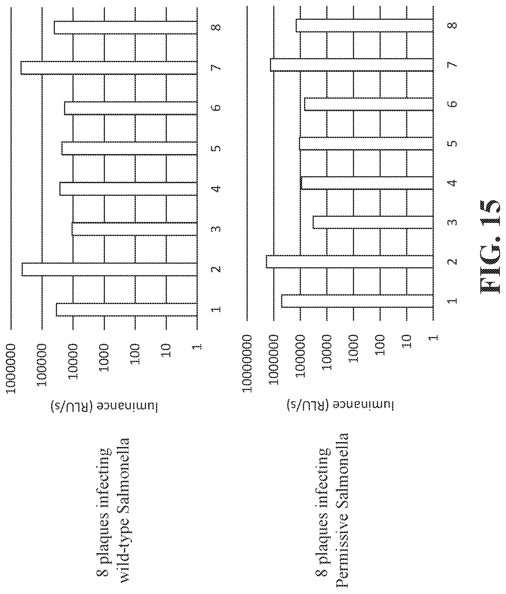 Patent US12492421 Figure 15 – Devices and methods for detecting microorganisms using recombinant reproduction-deficient indicator bacteriophage