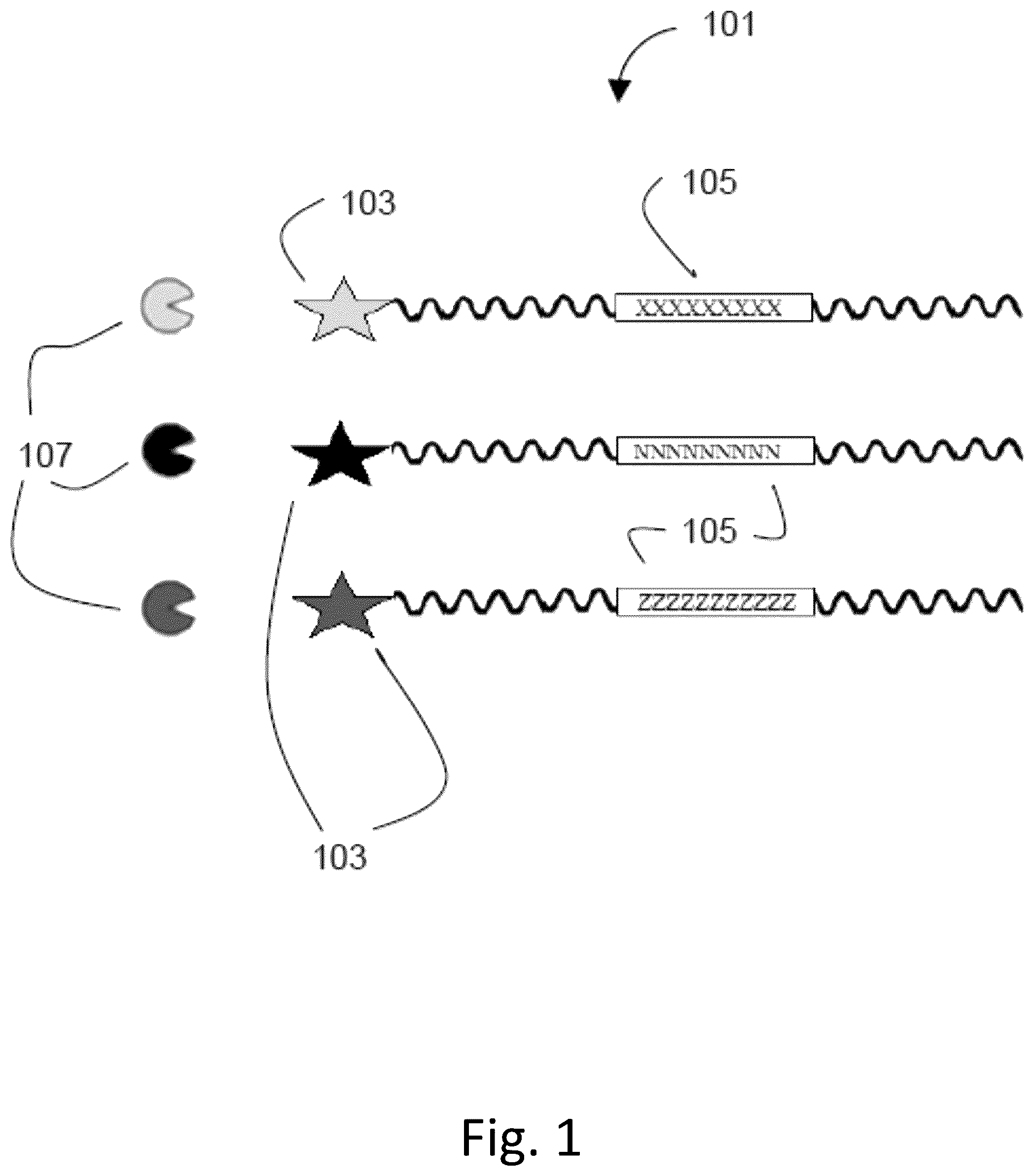 Patent US12492422 Figure 1 – Ex vivo protease activity detection for disease detection/diagnostic, staging, monitoring and treatment