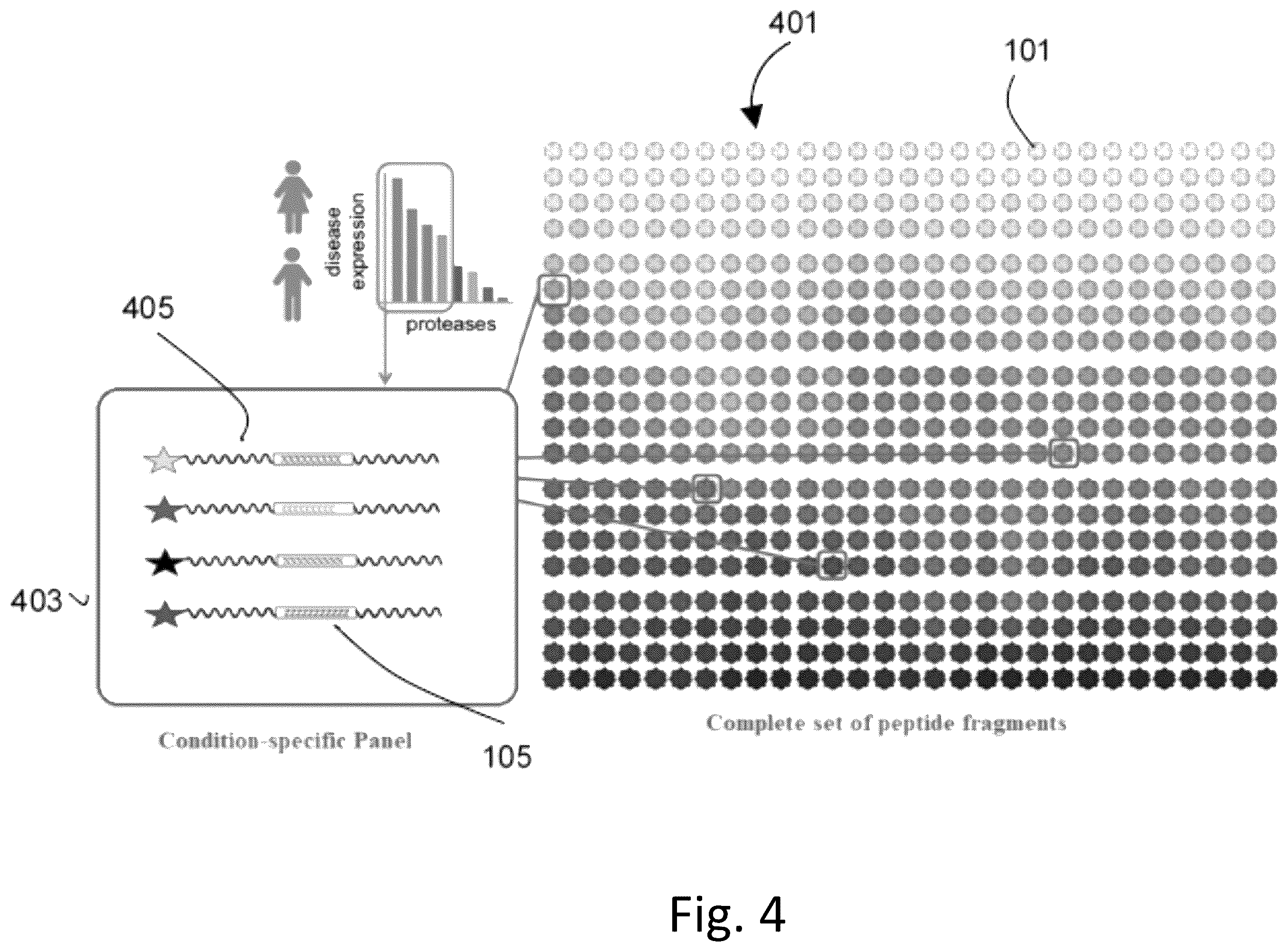 Patent US12492422 Figure 4 – Ex vivo protease activity detection for disease detection/diagnostic, staging, monitoring and treatment