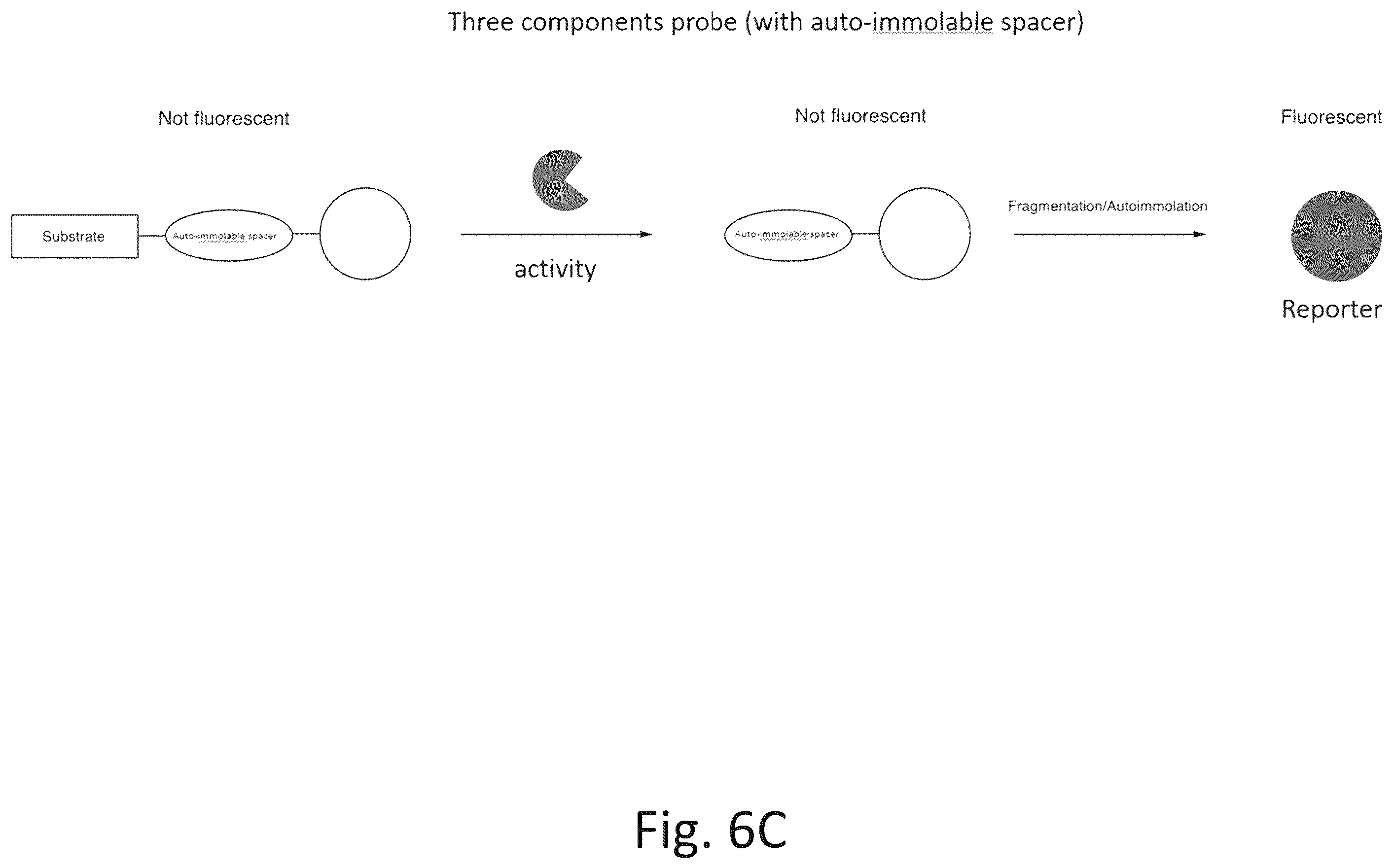 Patent US12492422 Figure 8 – Ex vivo protease activity detection for disease detection/diagnostic, staging, monitoring and treatment