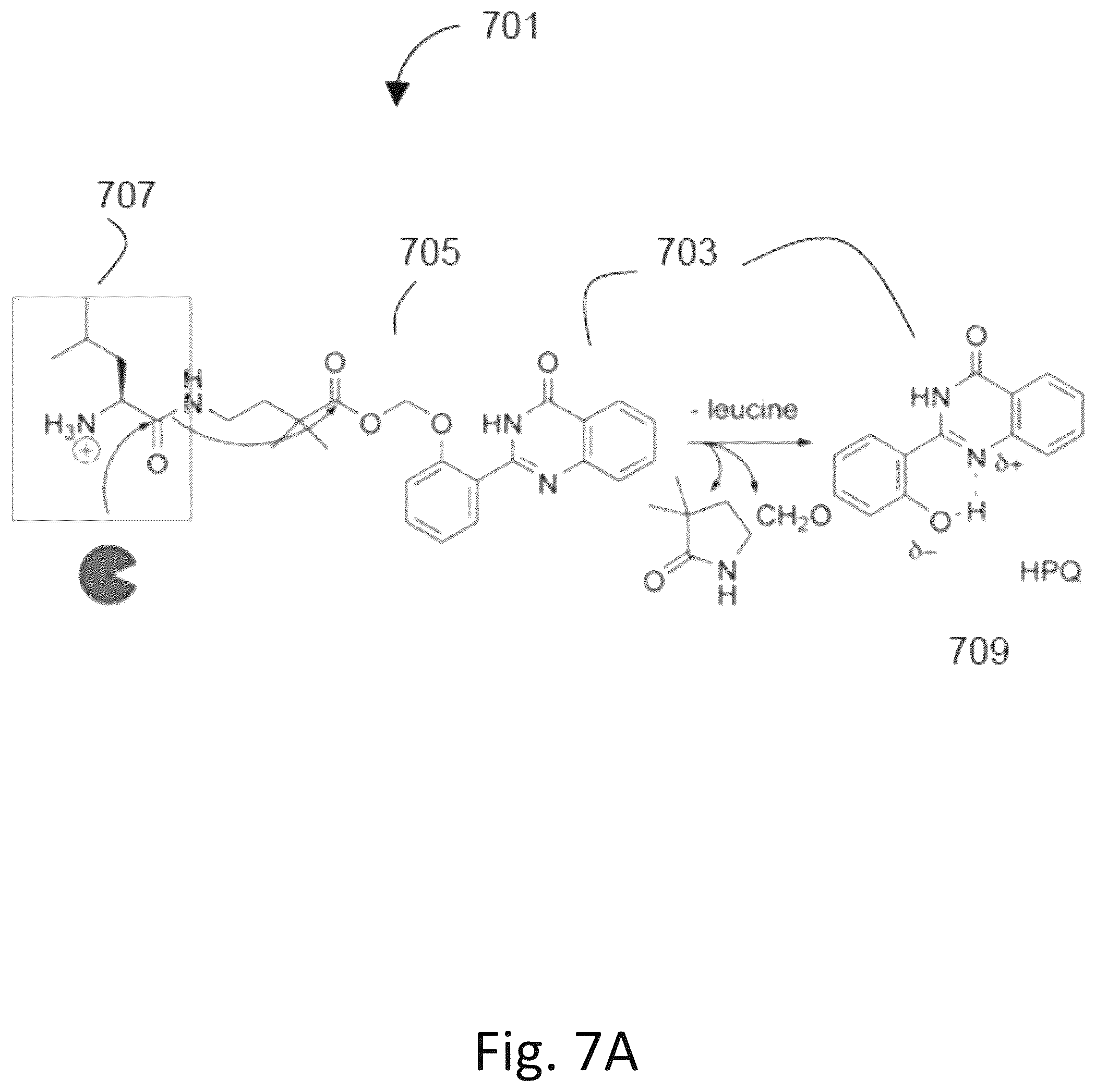 Patent US12492422 Figure 9 – Ex vivo protease activity detection for disease detection/diagnostic, staging, monitoring and treatment
