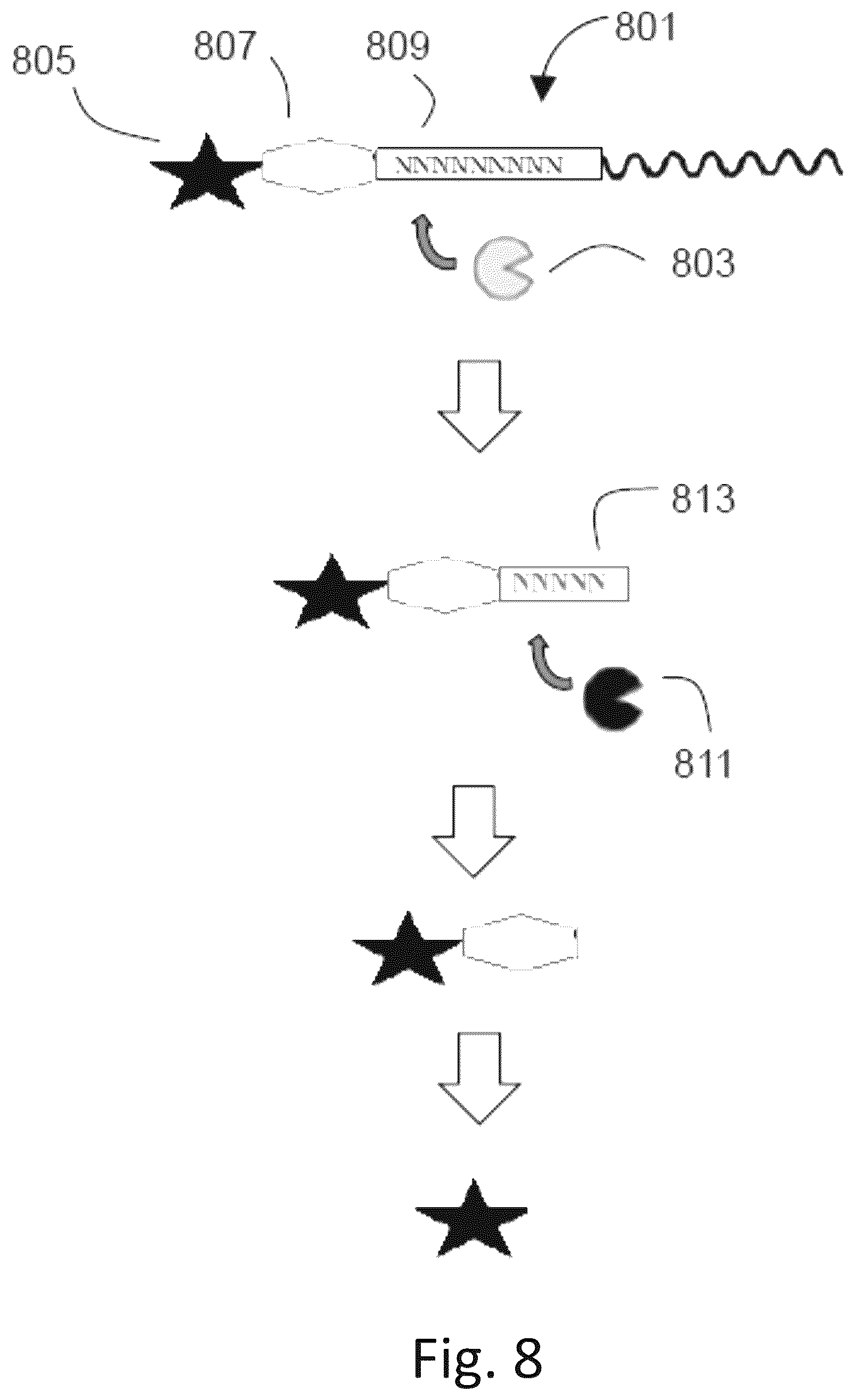 Patent US12492422 Figure 12 – Ex vivo protease activity detection for disease detection/diagnostic, staging, monitoring and treatment