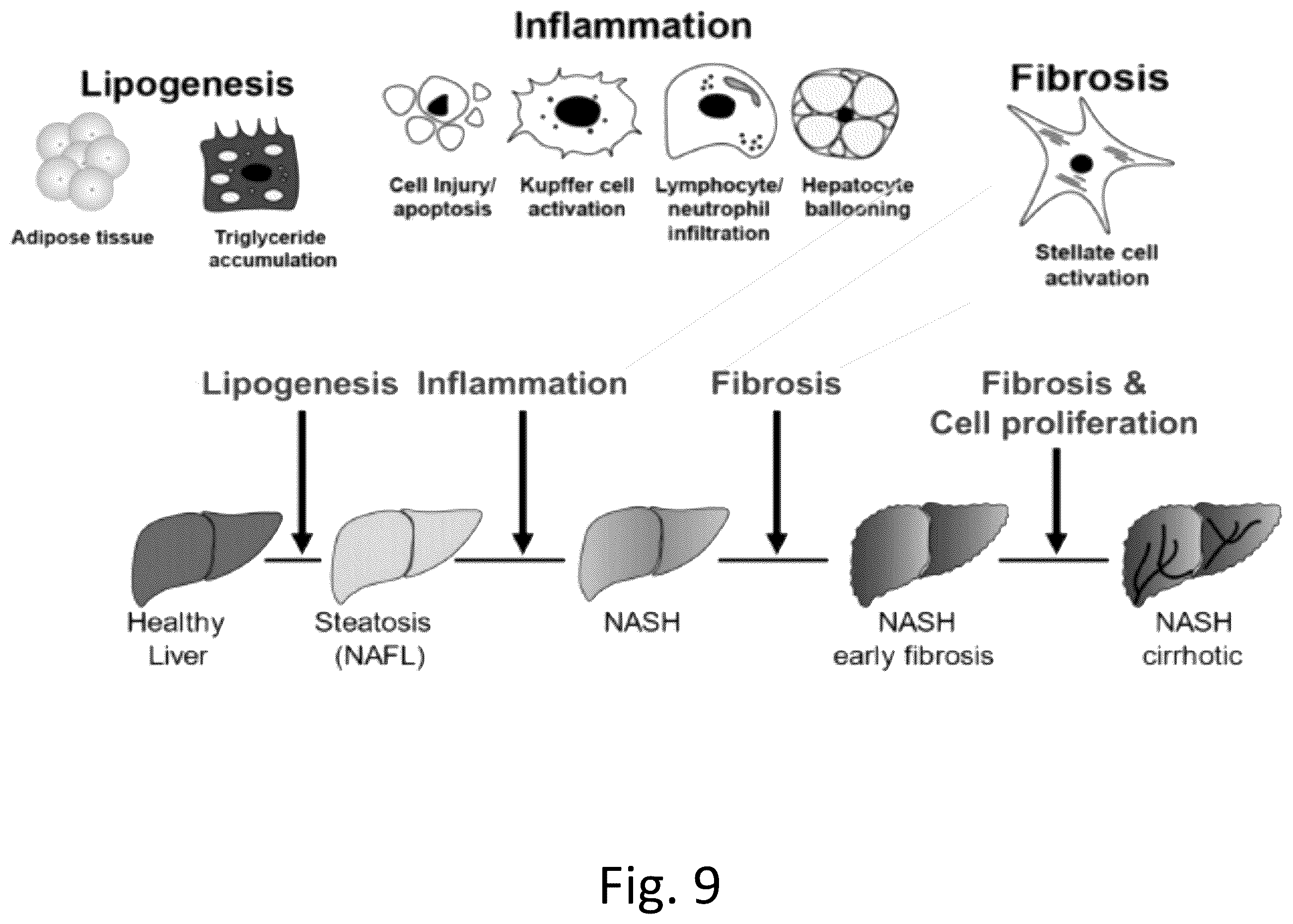 Patent US12492422 Figure 13 – Ex vivo protease activity detection for disease detection/diagnostic, staging, monitoring and treatment