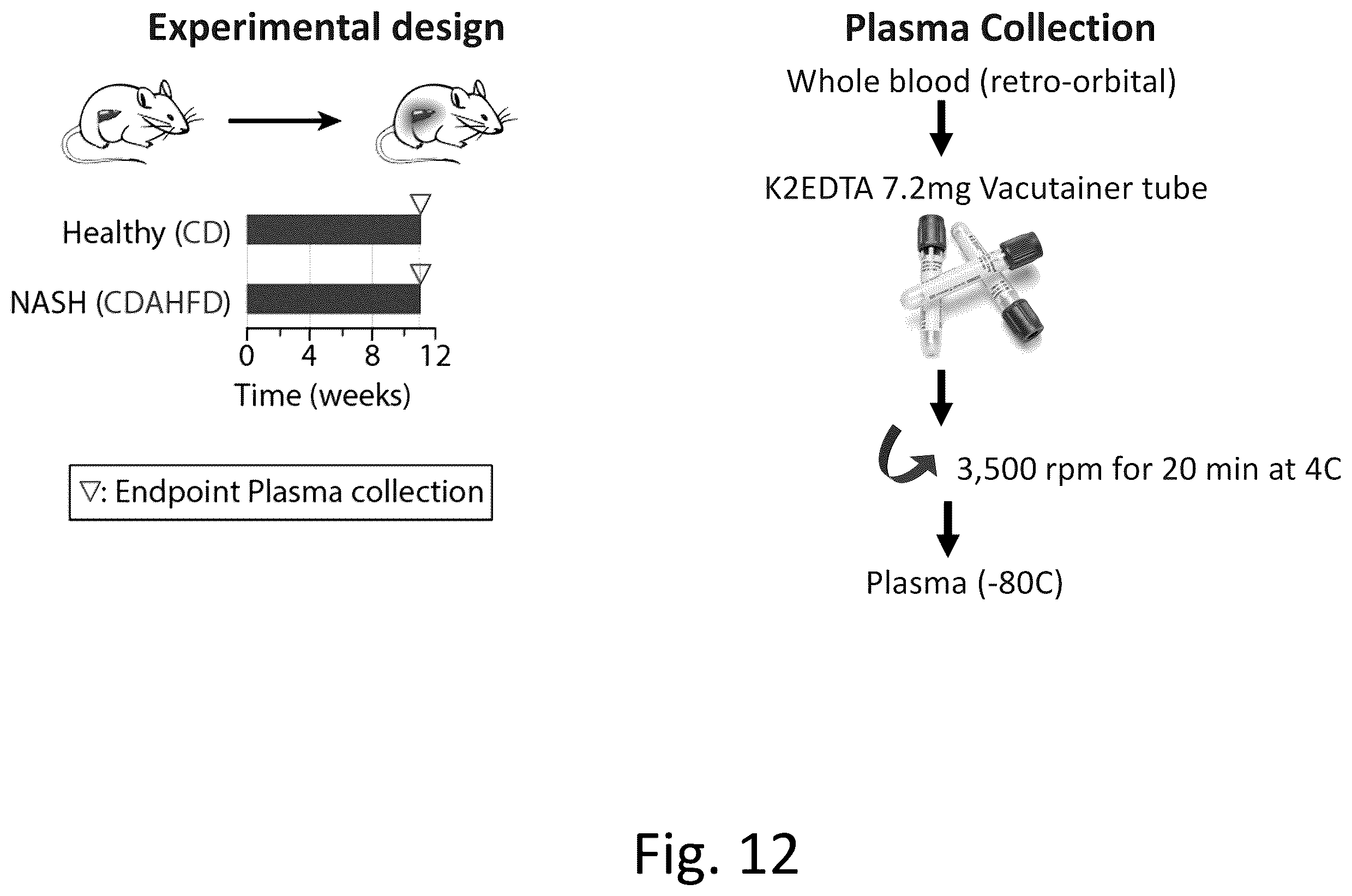 Patent US12492422 Figure 16 – Ex vivo protease activity detection for disease detection/diagnostic, staging, monitoring and treatment