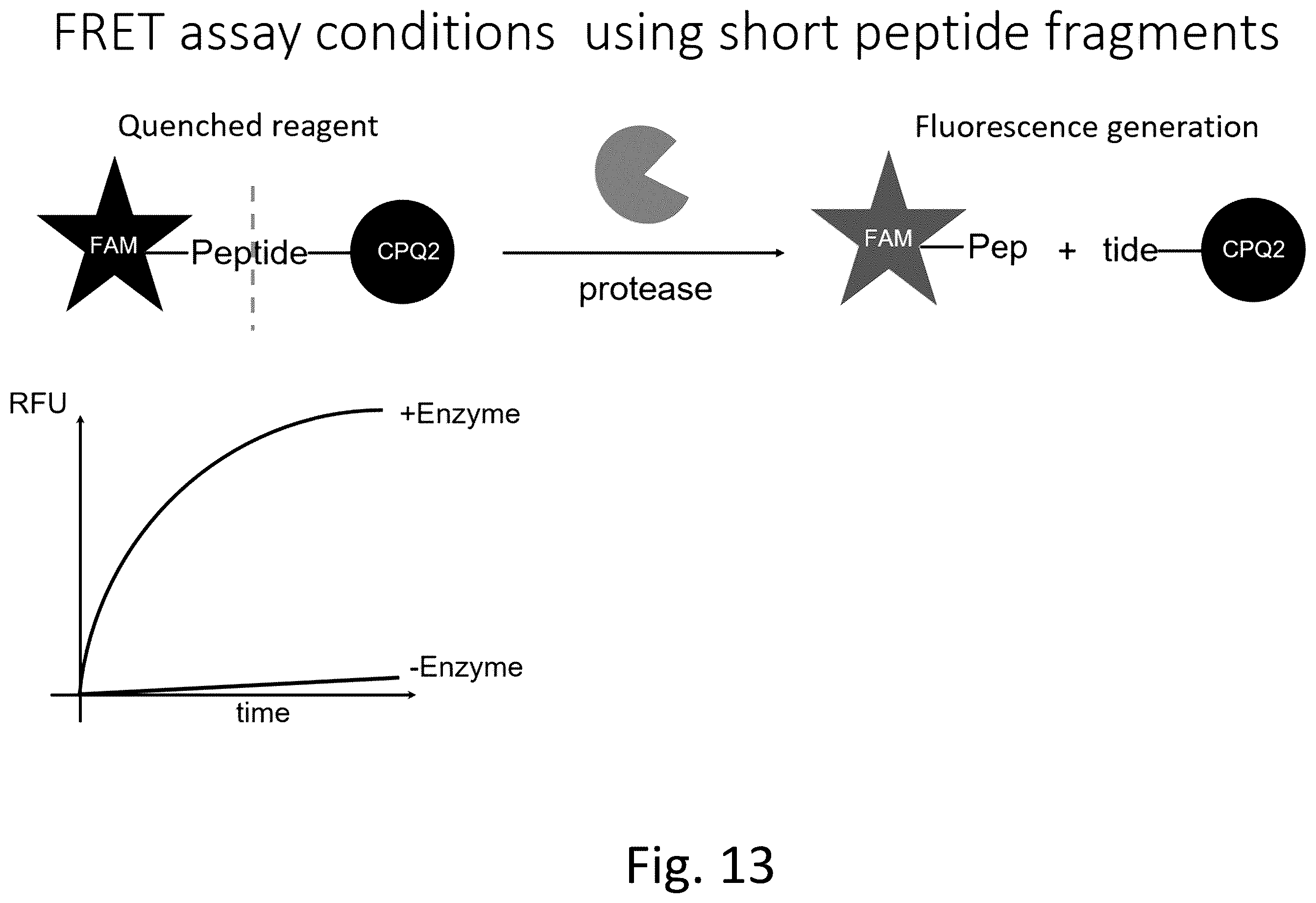 Patent US12492422 Figure 17 – Ex vivo protease activity detection for disease detection/diagnostic, staging, monitoring and treatment