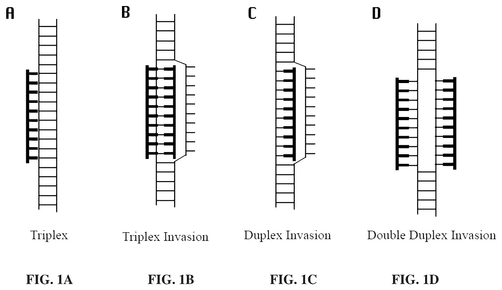 Patent US12492423 — Methods and compositions for genomic target enrichment and selective DNA sequencing — Figure 1