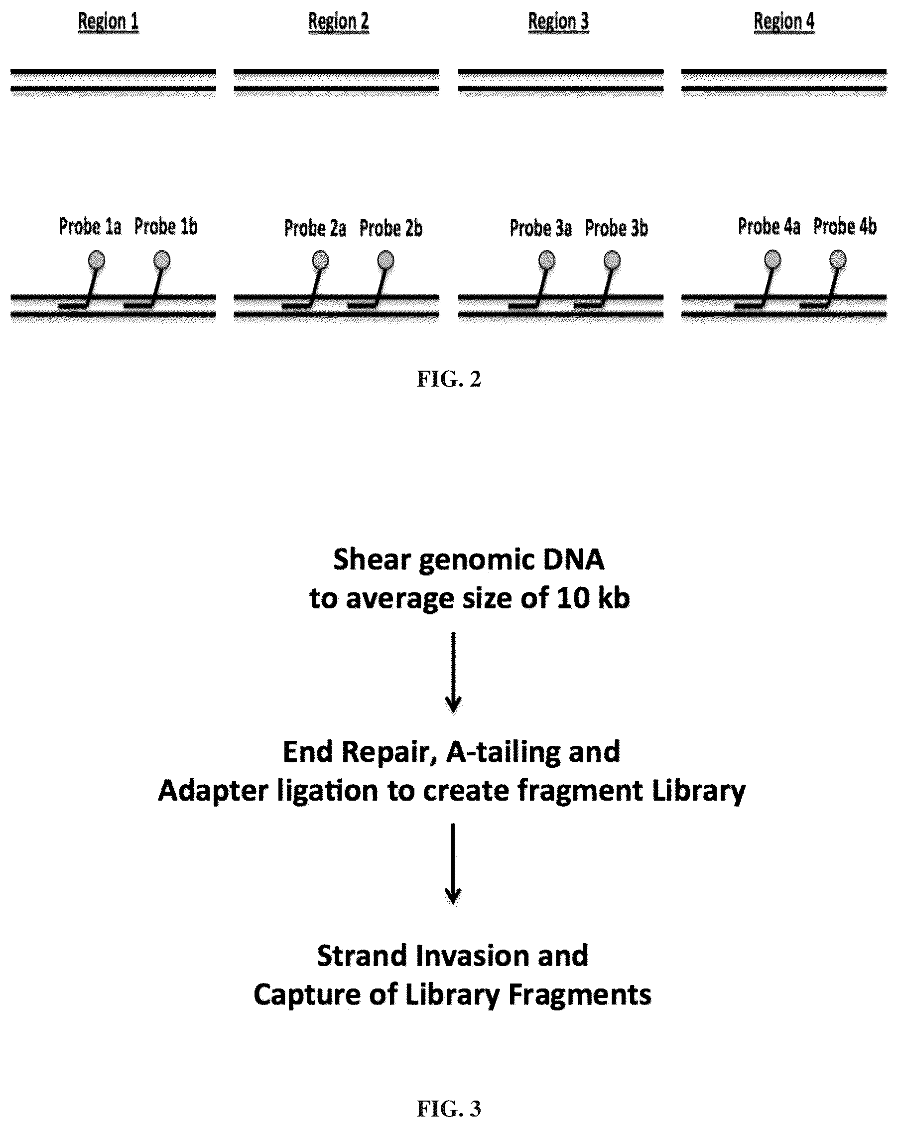 Patent US12492423 Figure 2 – Methods and compositions for genomic target enrichment and selective DNA sequencing