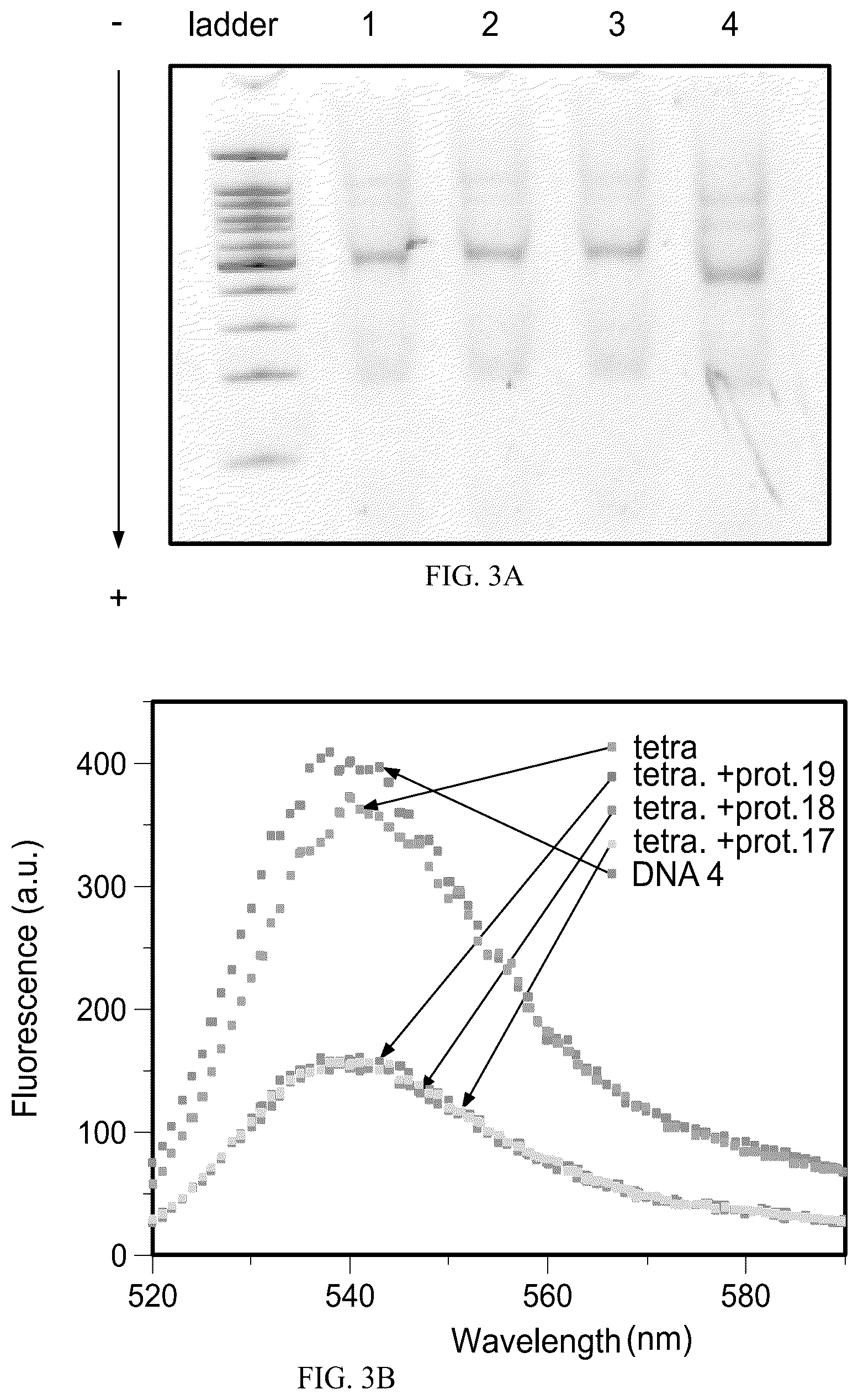 Patent US12492424 Figure 3 – Compositions and methods for detecting viral nucleic acids