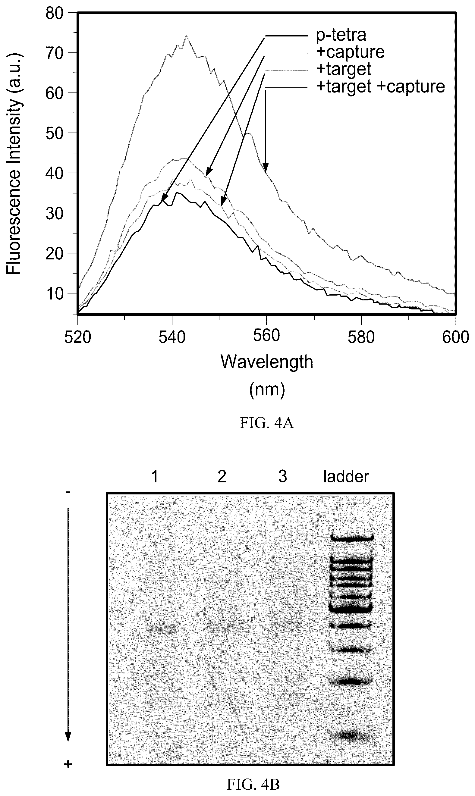 Patent US12492424 Figure 4 – Compositions and methods for detecting viral nucleic acids