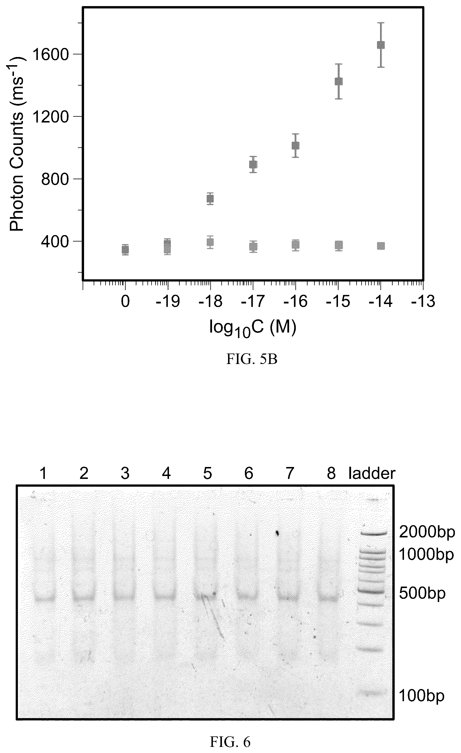 Patent US12492424 Figure 6 – Compositions and methods for detecting viral nucleic acids