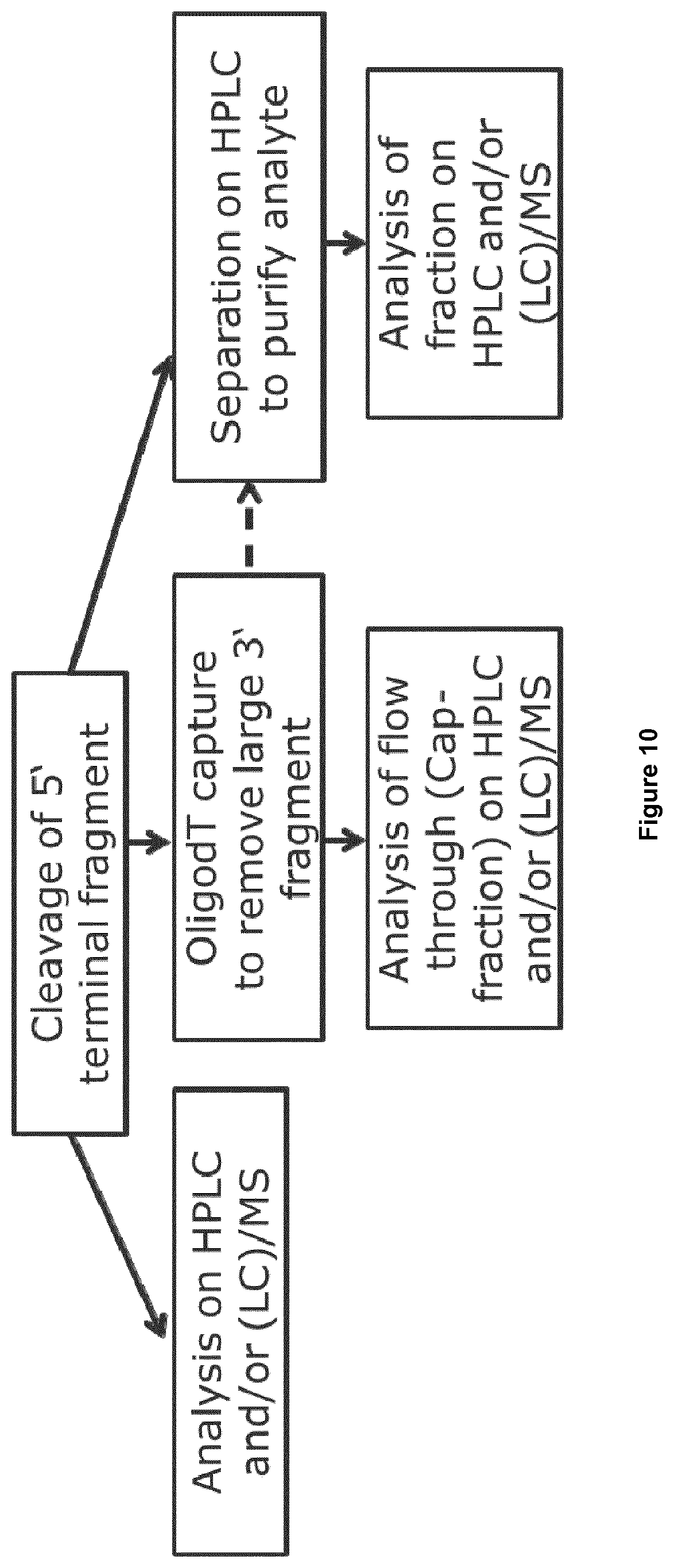 Patent US12492425 Figure 9 – Methods for RNA analysis