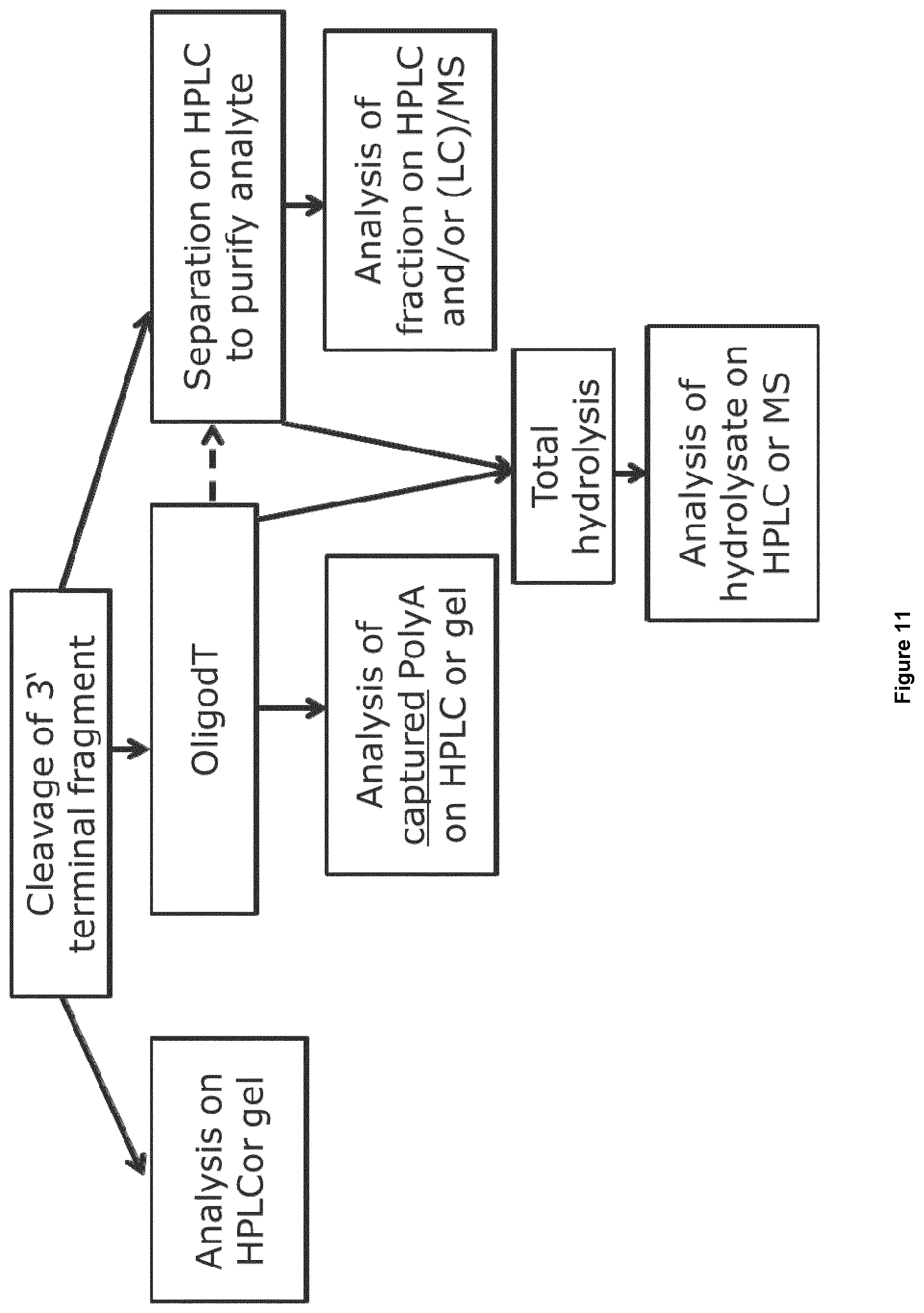 Patent US12492425 Figure 10 – Methods for RNA analysis
