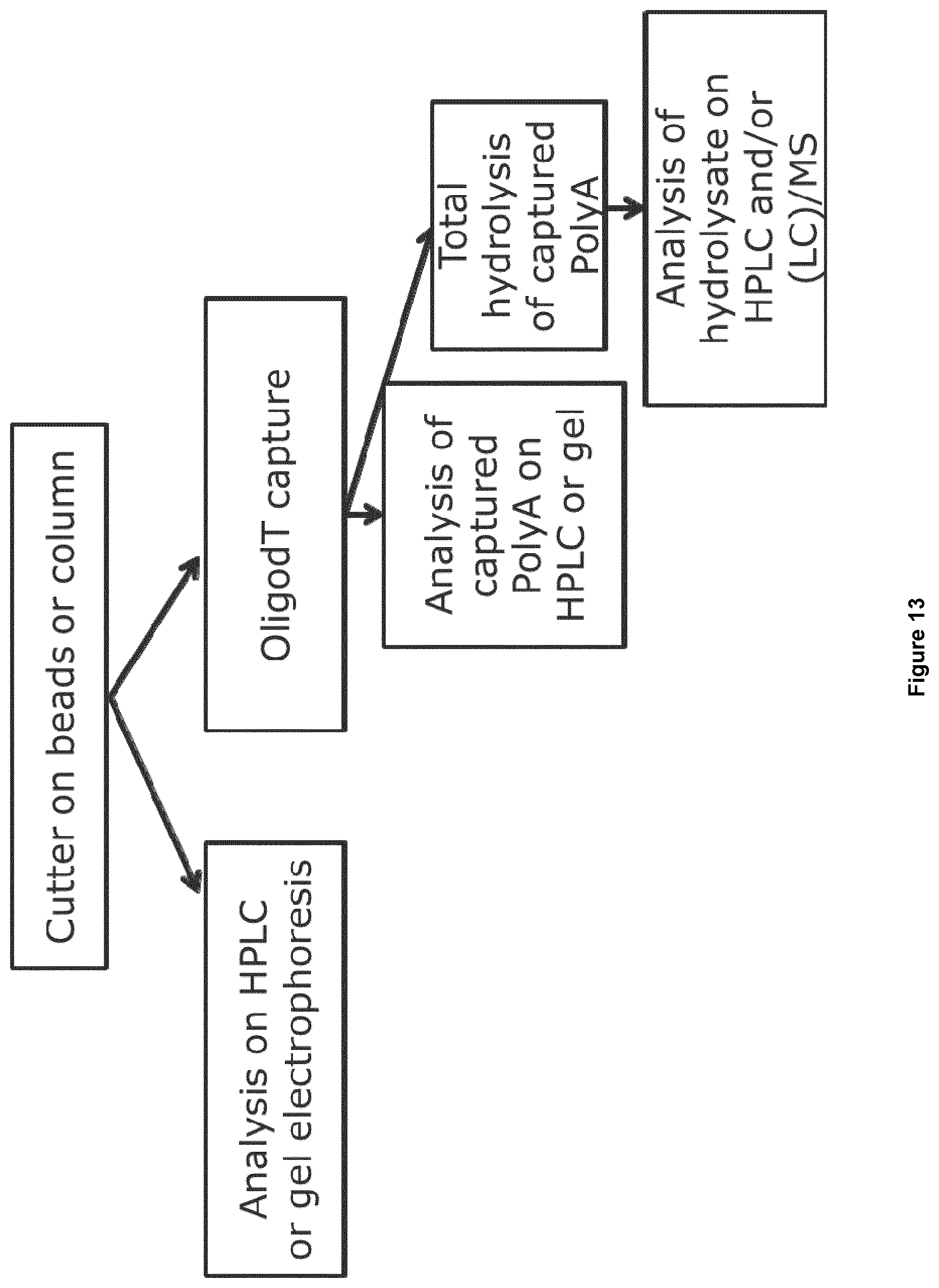 Patent US12492425 Figure 12 – Methods for RNA analysis