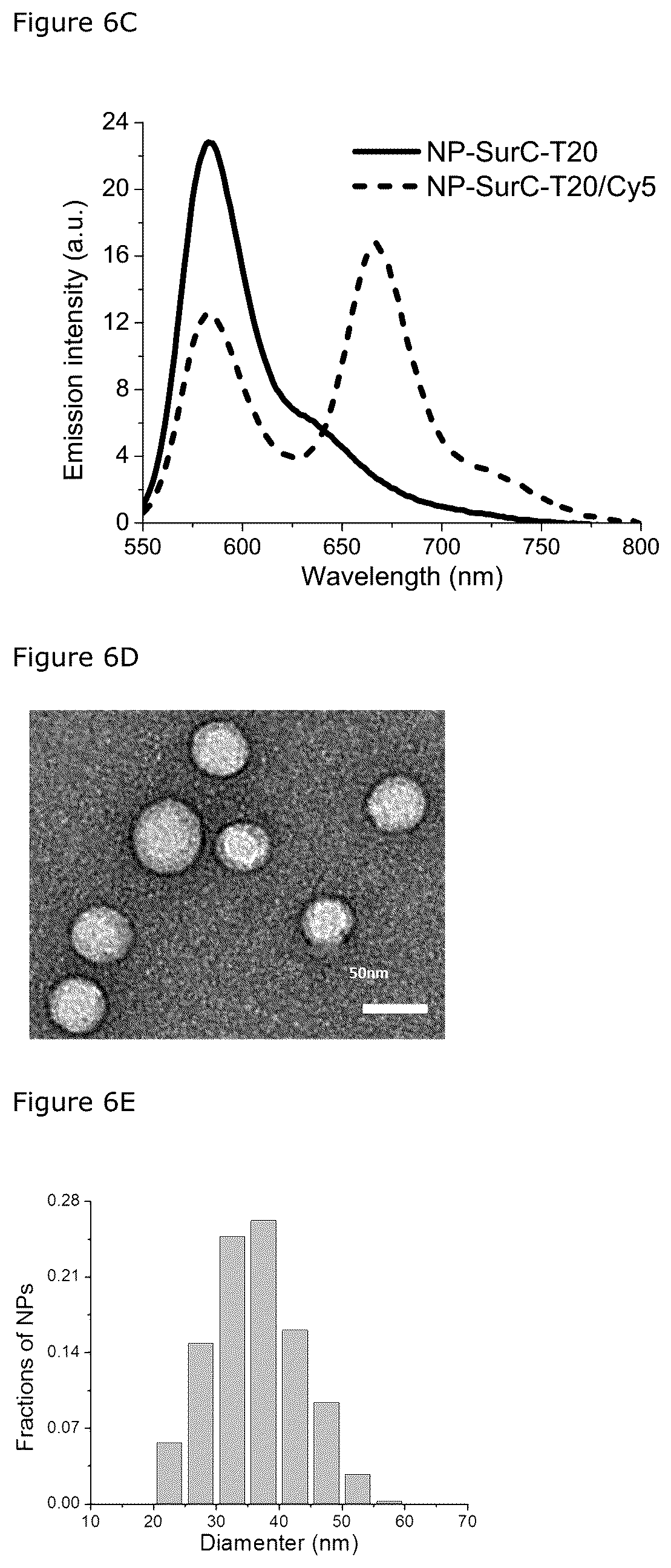 Patent US12492426 Figure 6 – Oligonucleotide-functionalized hydrophobic polymer nanoparticles