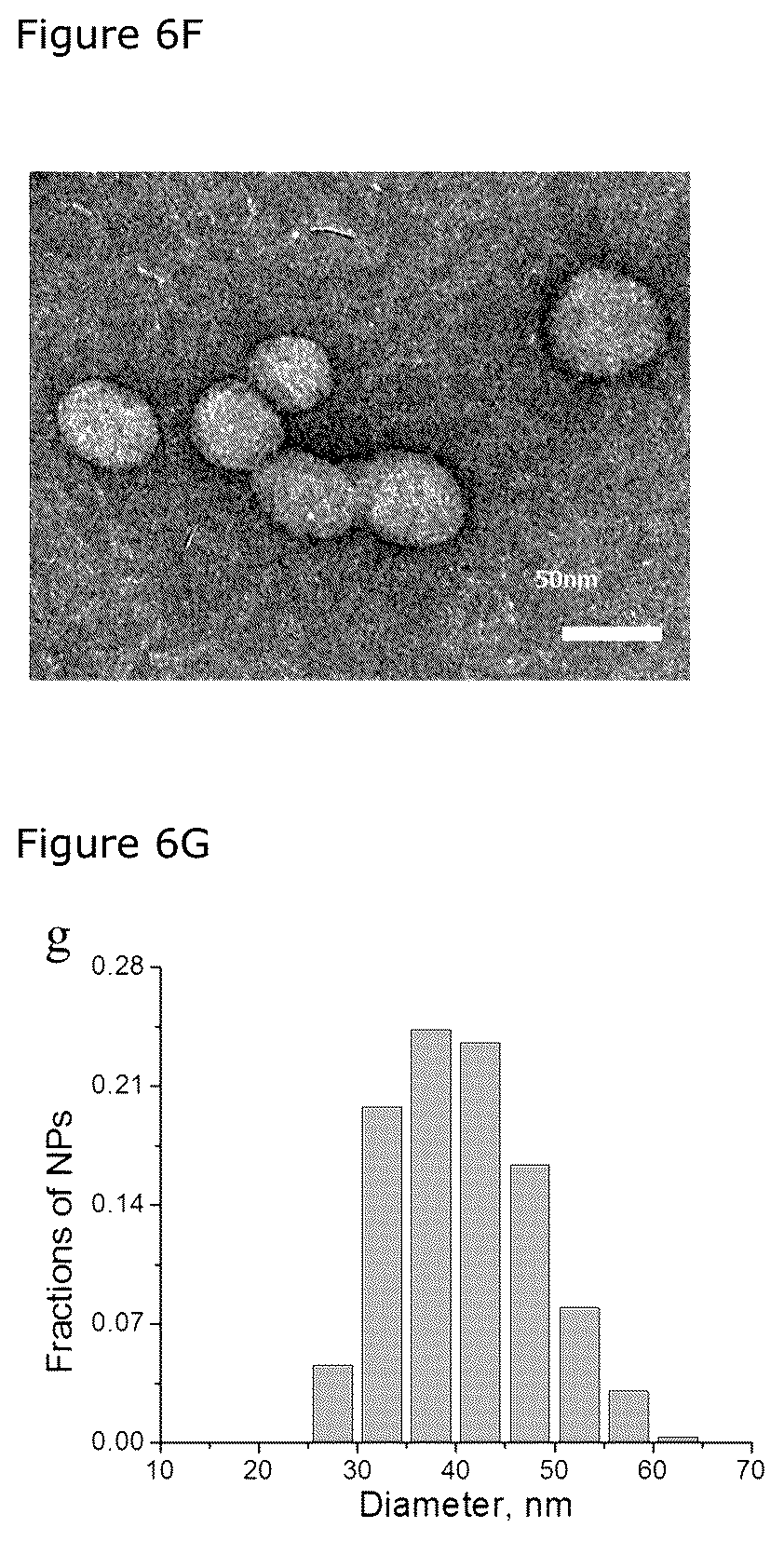 Patent US12492426 Figure 7 – Oligonucleotide-functionalized hydrophobic polymer nanoparticles