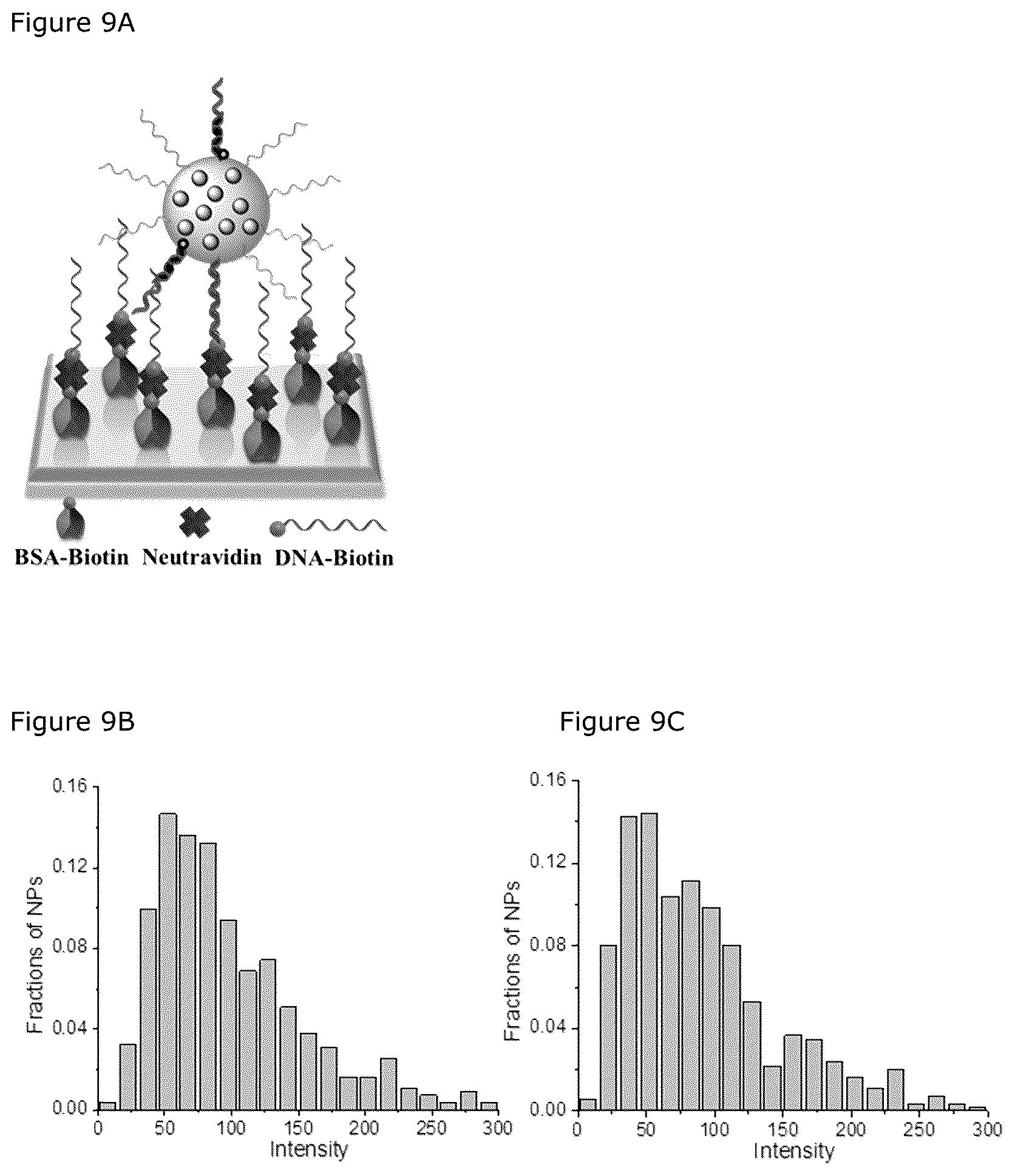 Patent US12492426 Figure 9 – Oligonucleotide-functionalized hydrophobic polymer nanoparticles
